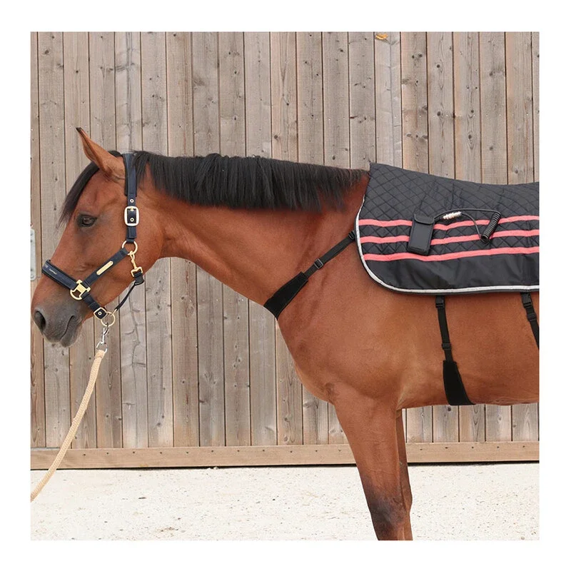 Ezihorse_Oct23-EZIBACK_PRO_7.webp