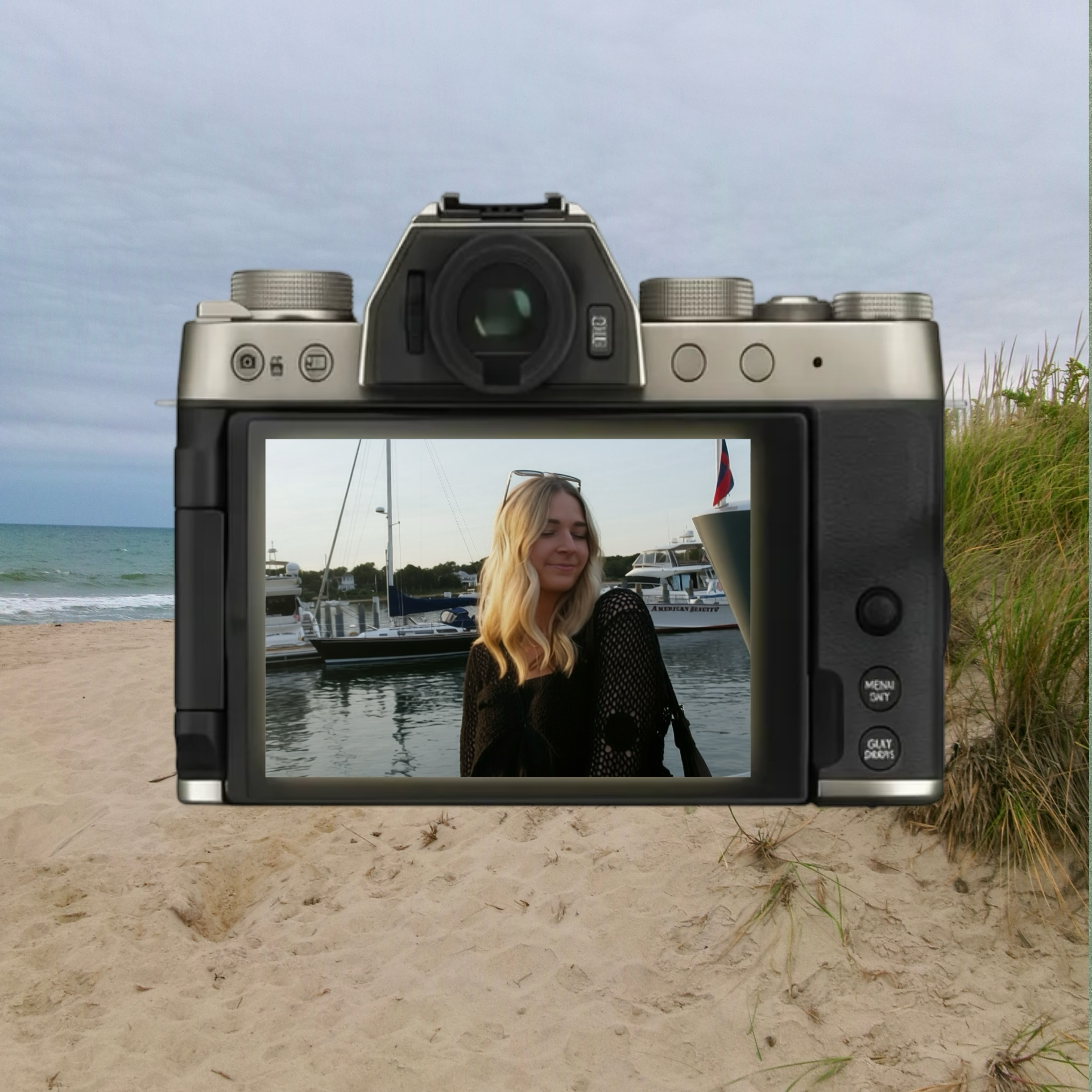 CameraHapmtons.png