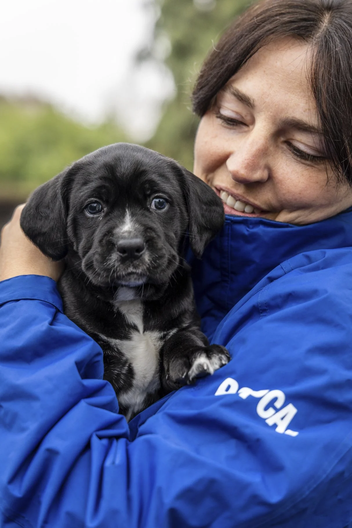 RSPCA &amp; Katherine Martin Trust