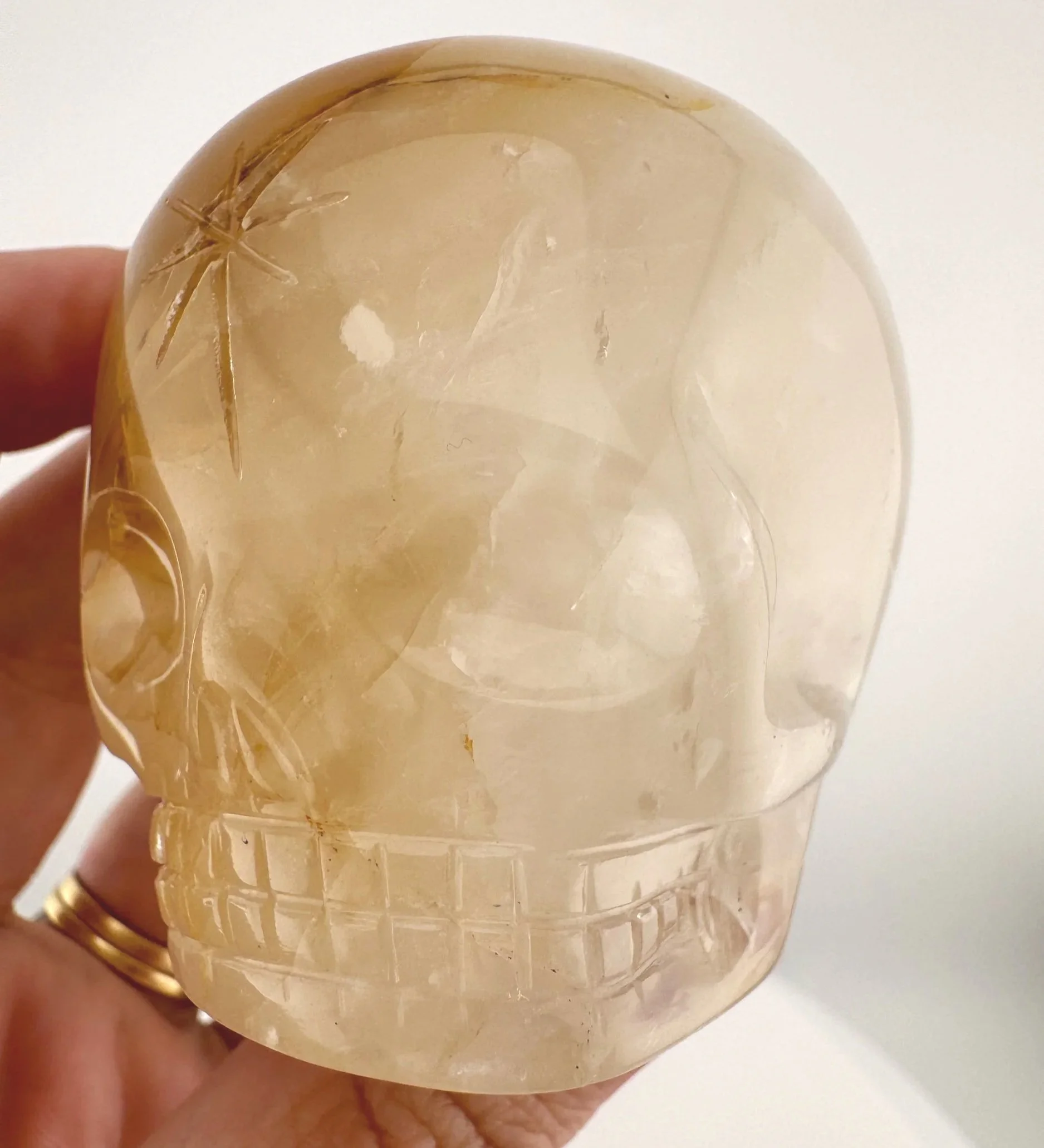 Leandro de Souza Golden Healer Magical Child Skull