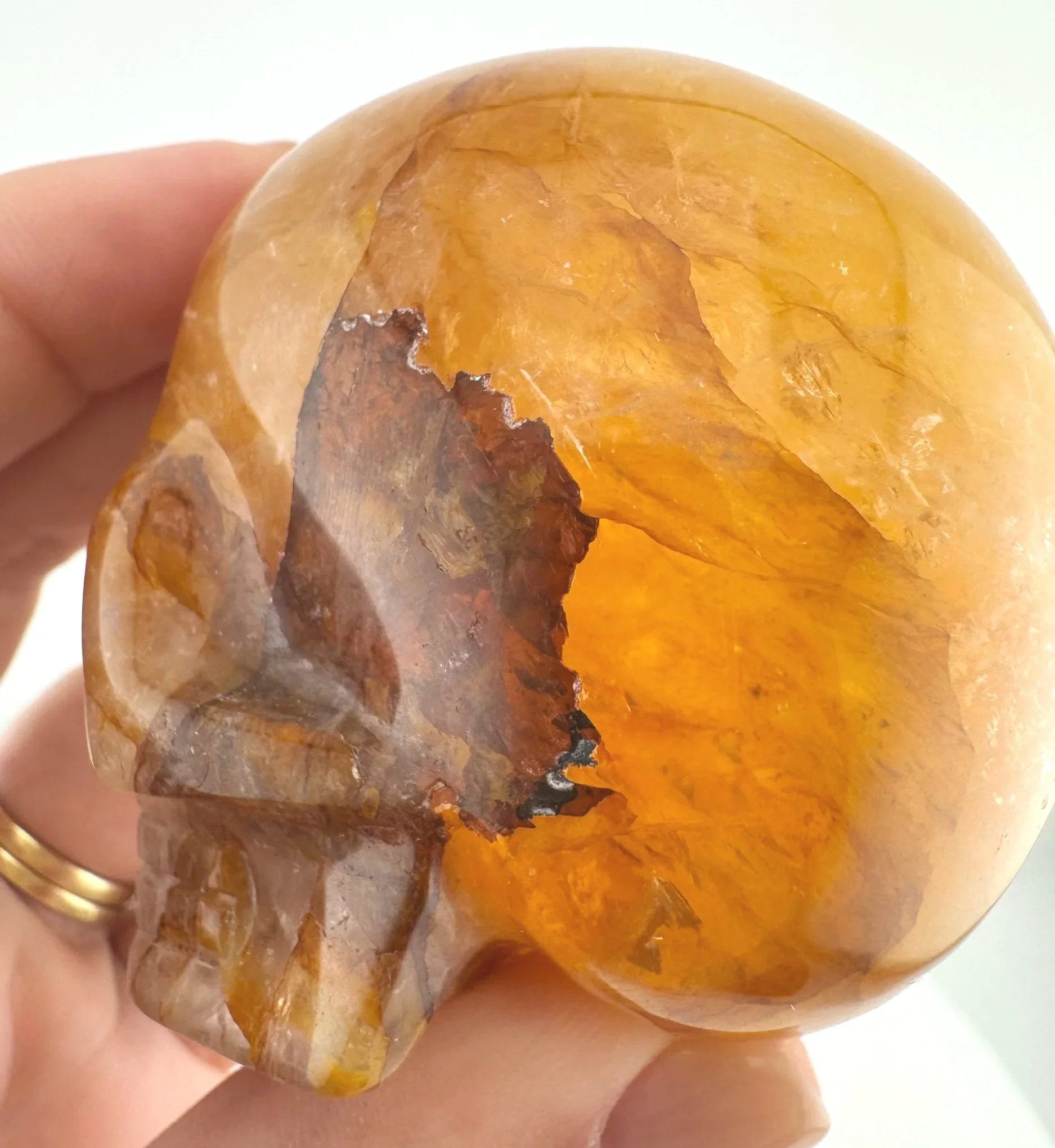 Leandro de Souza Golden Healer Magical Child Skull