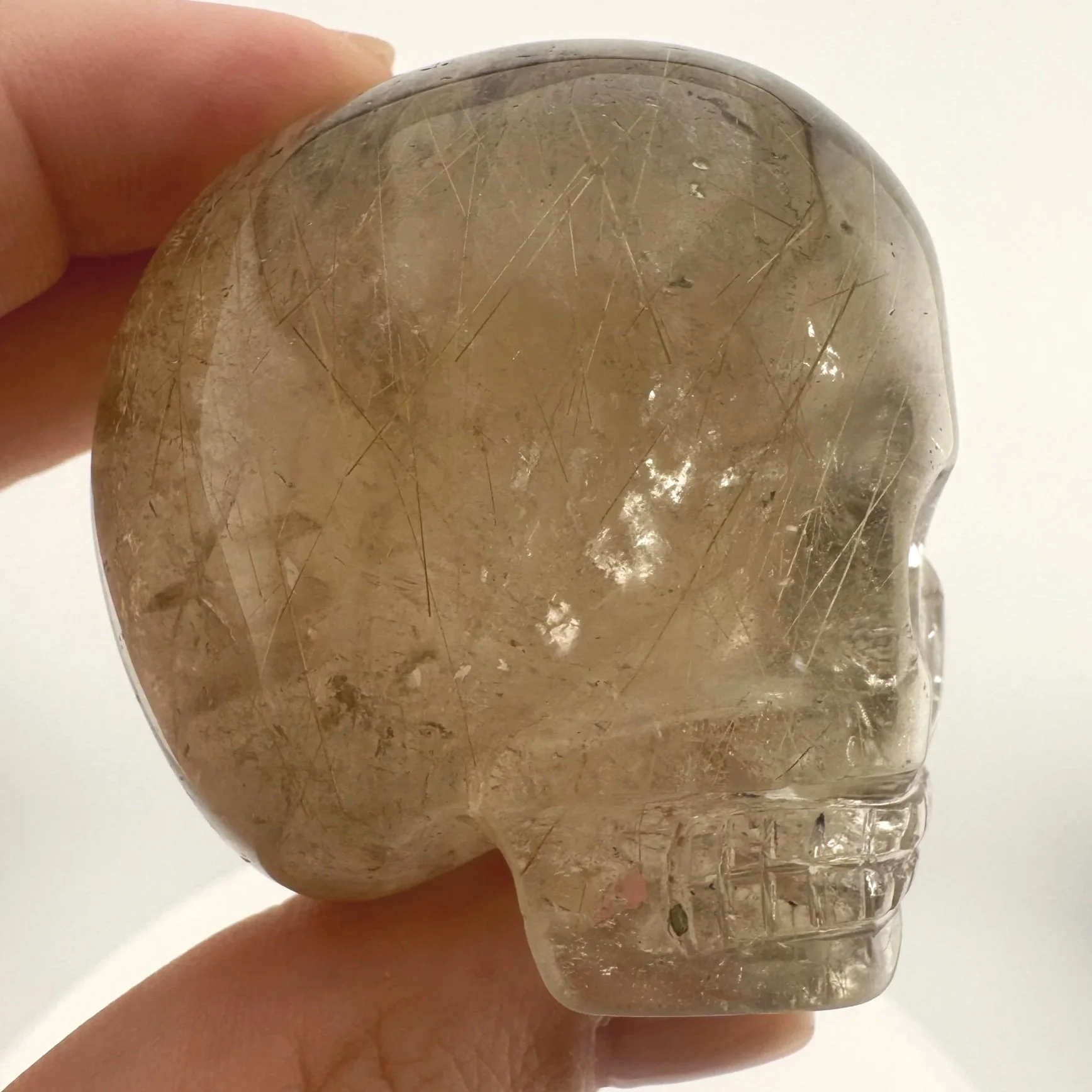 Leandro de Souza Golden Rutile in Smoky Quartz Magical Child Palm Skull