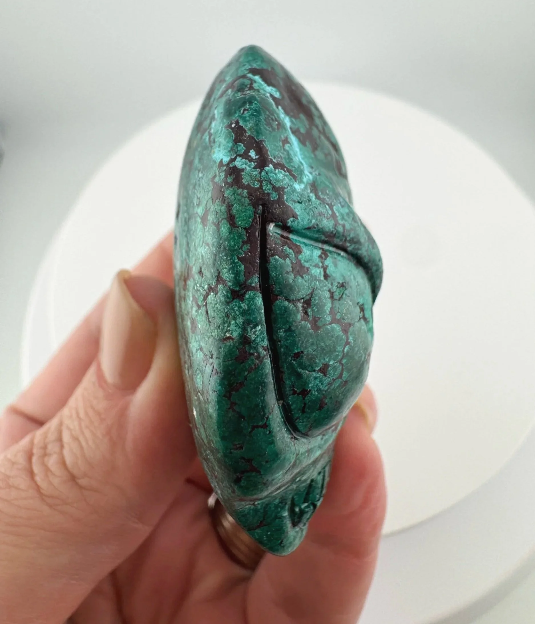 Leandro de Souza Malacholla Star Being Palm Skull