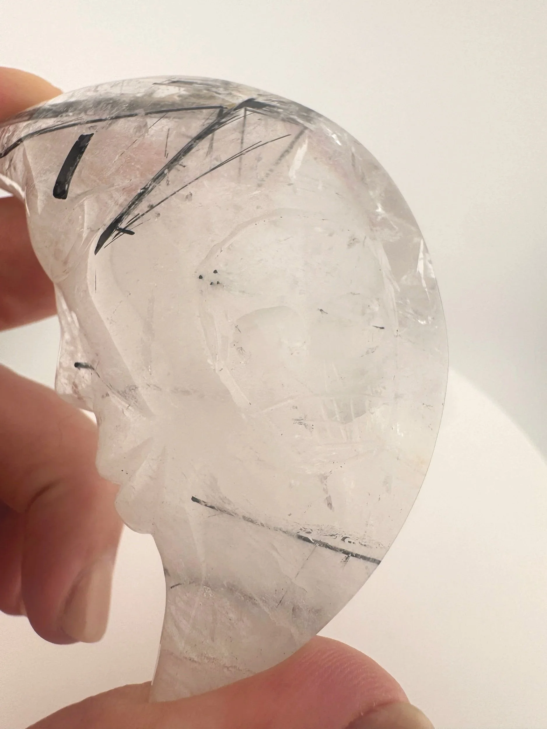 Leandro de Souza Black Tourmaline in Quartz Moon