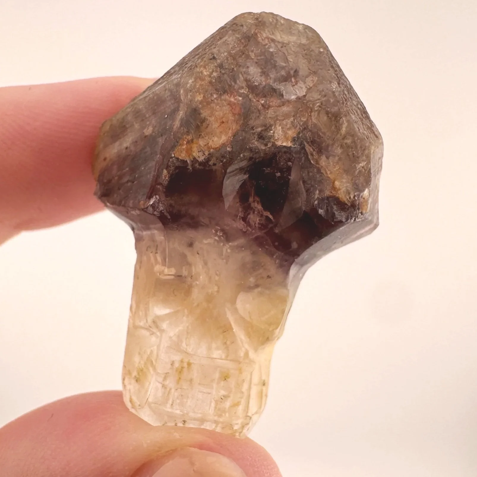 Igor de Souza Super Seven Shaman Skull