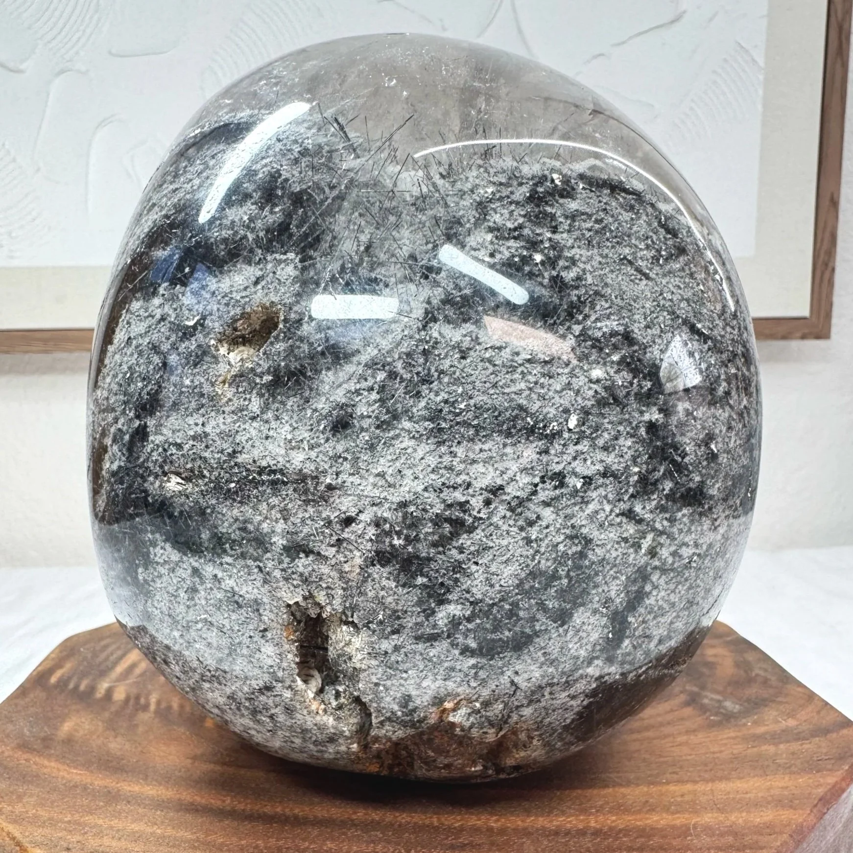Leandro de Souza Black Tourmaline and Lodolite in Quartz Master Skull