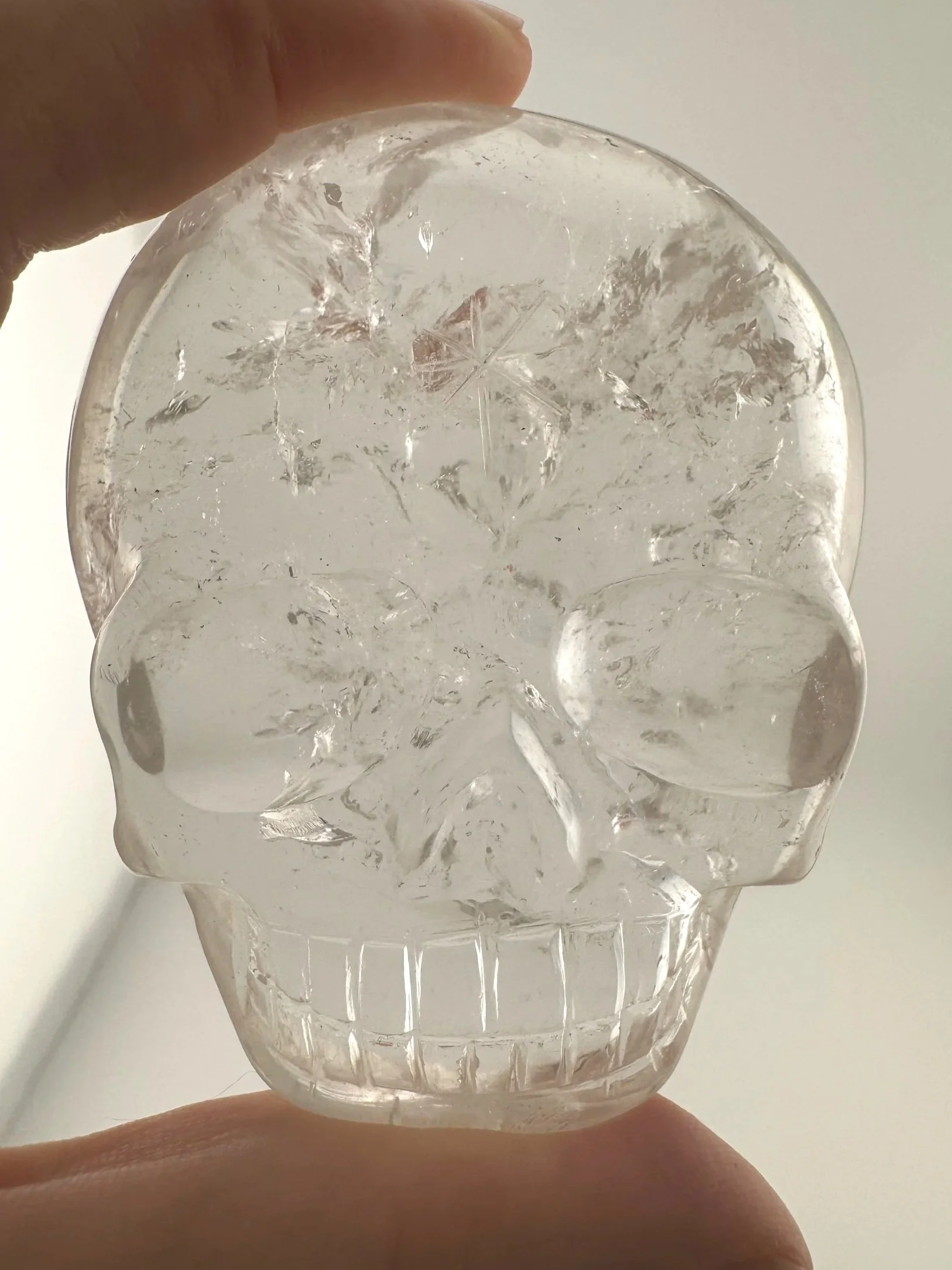 Leandro de Souza Sirius Quartz Magical Child Palm Skull