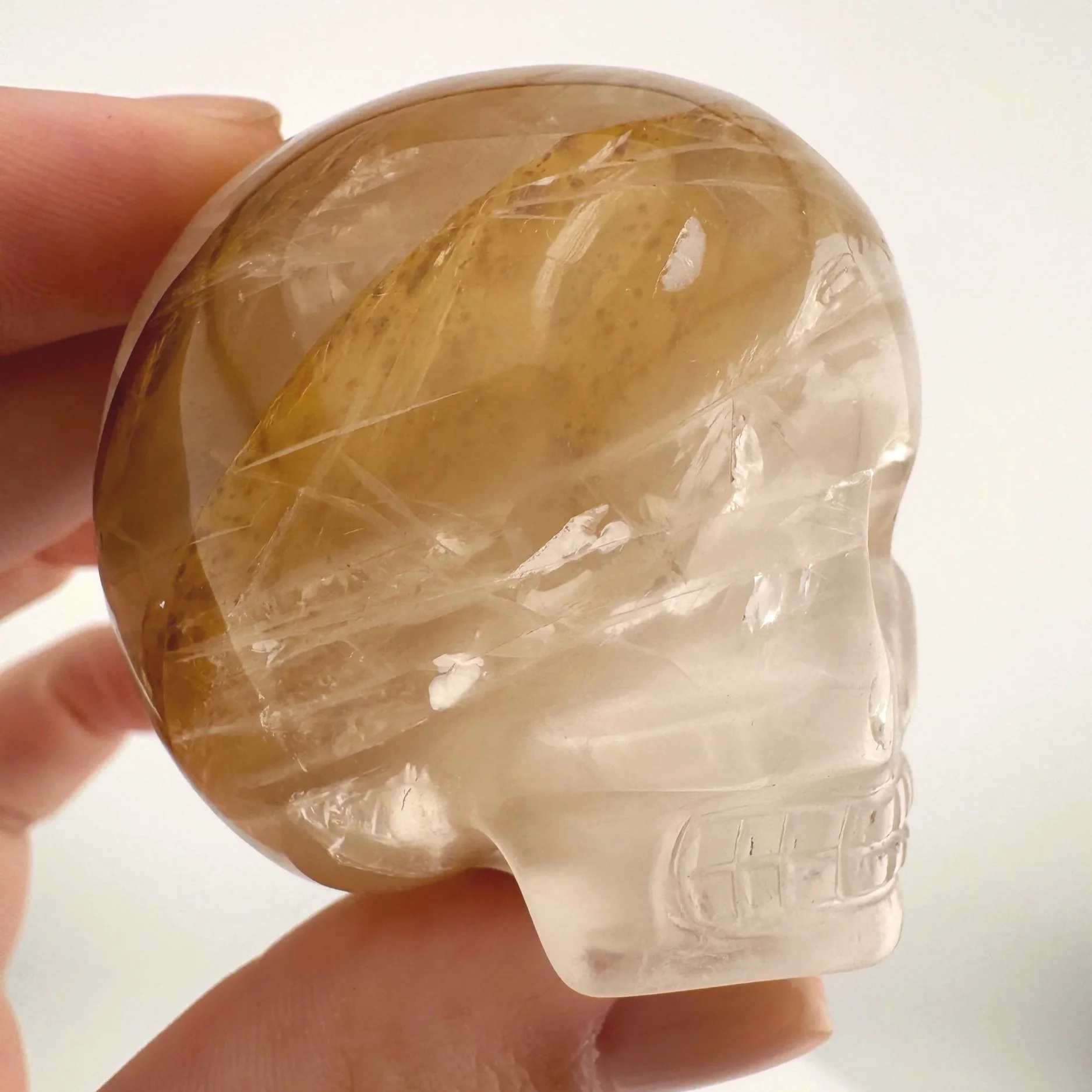Leandro de Souza Golden Healer Magical Child Skull