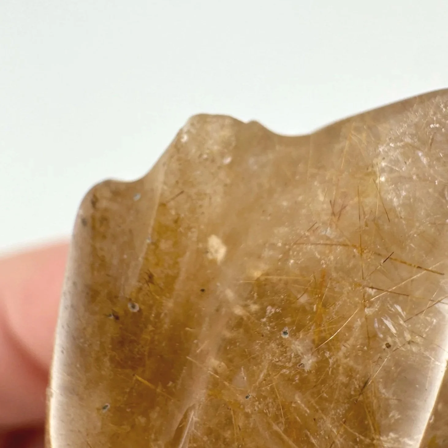 Leandro de Souza Rutilated Quartz Dragon Skull