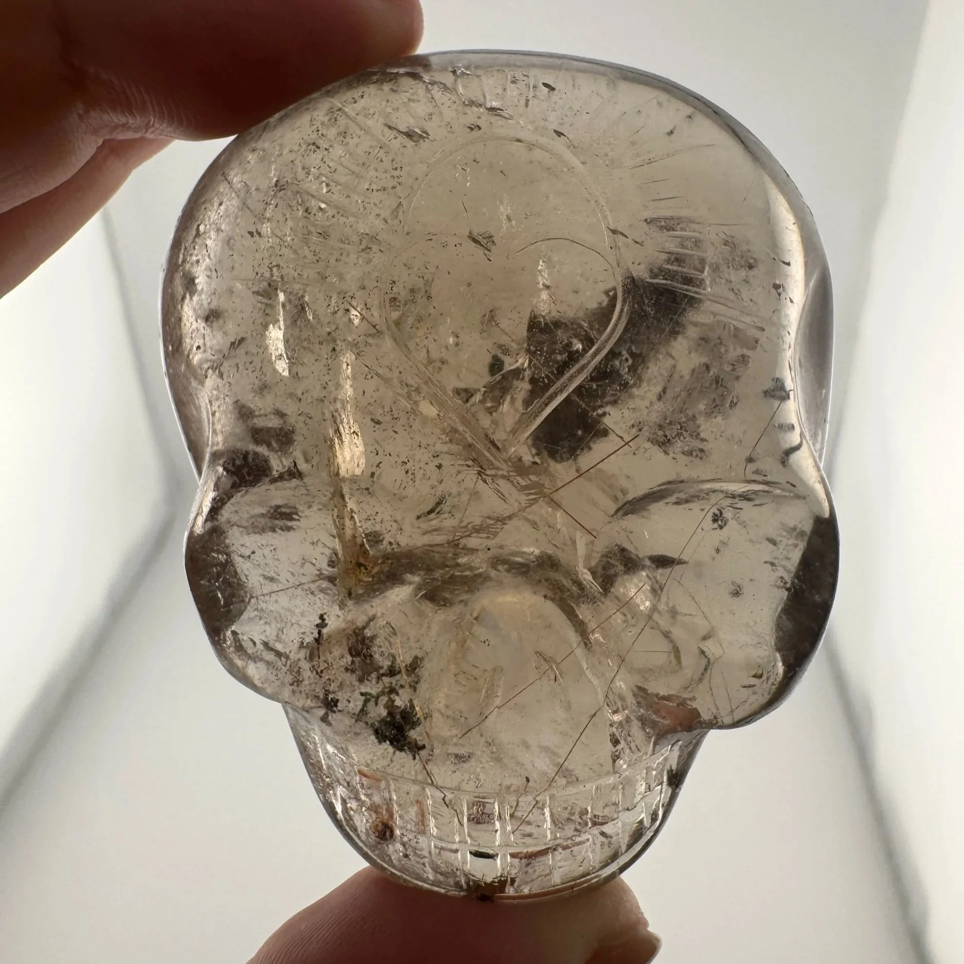 Leandro de Souza Smoky Garden Rutile Magical Child Palm Skull