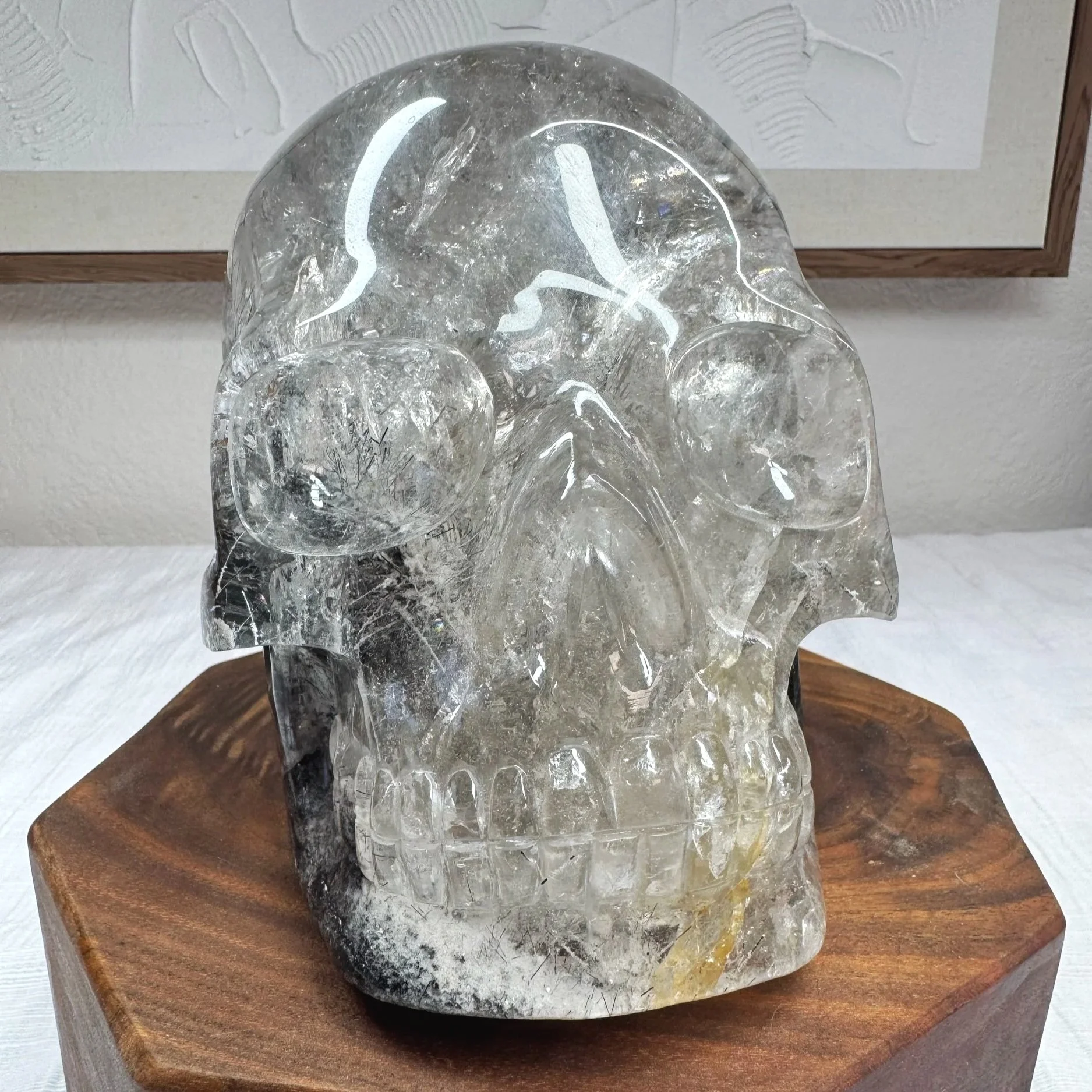 Leandro de Souza Black Tourmaline and Lodolite in Quartz Master Skull