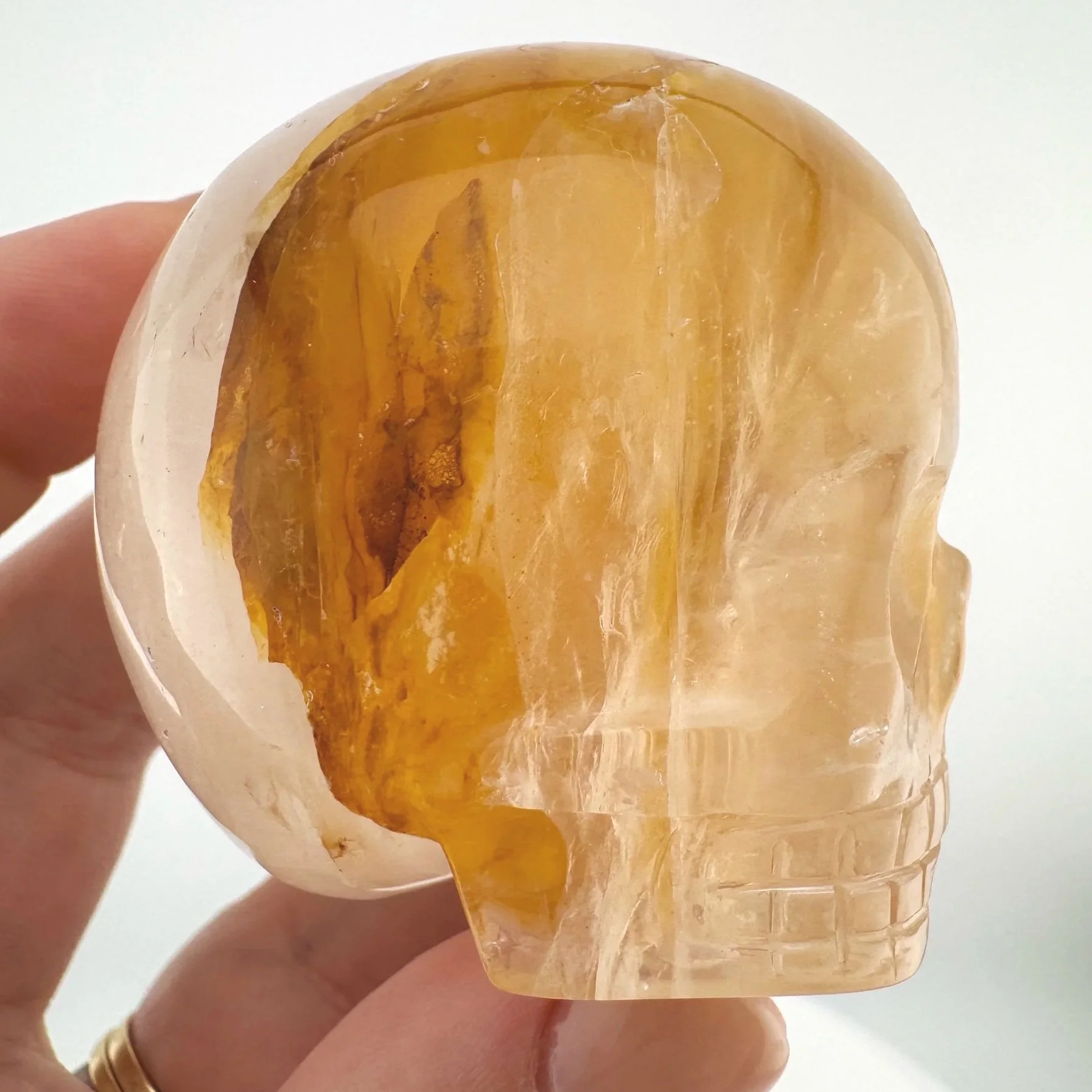 Leandro de Souza Golden Healer Magical Child Skull