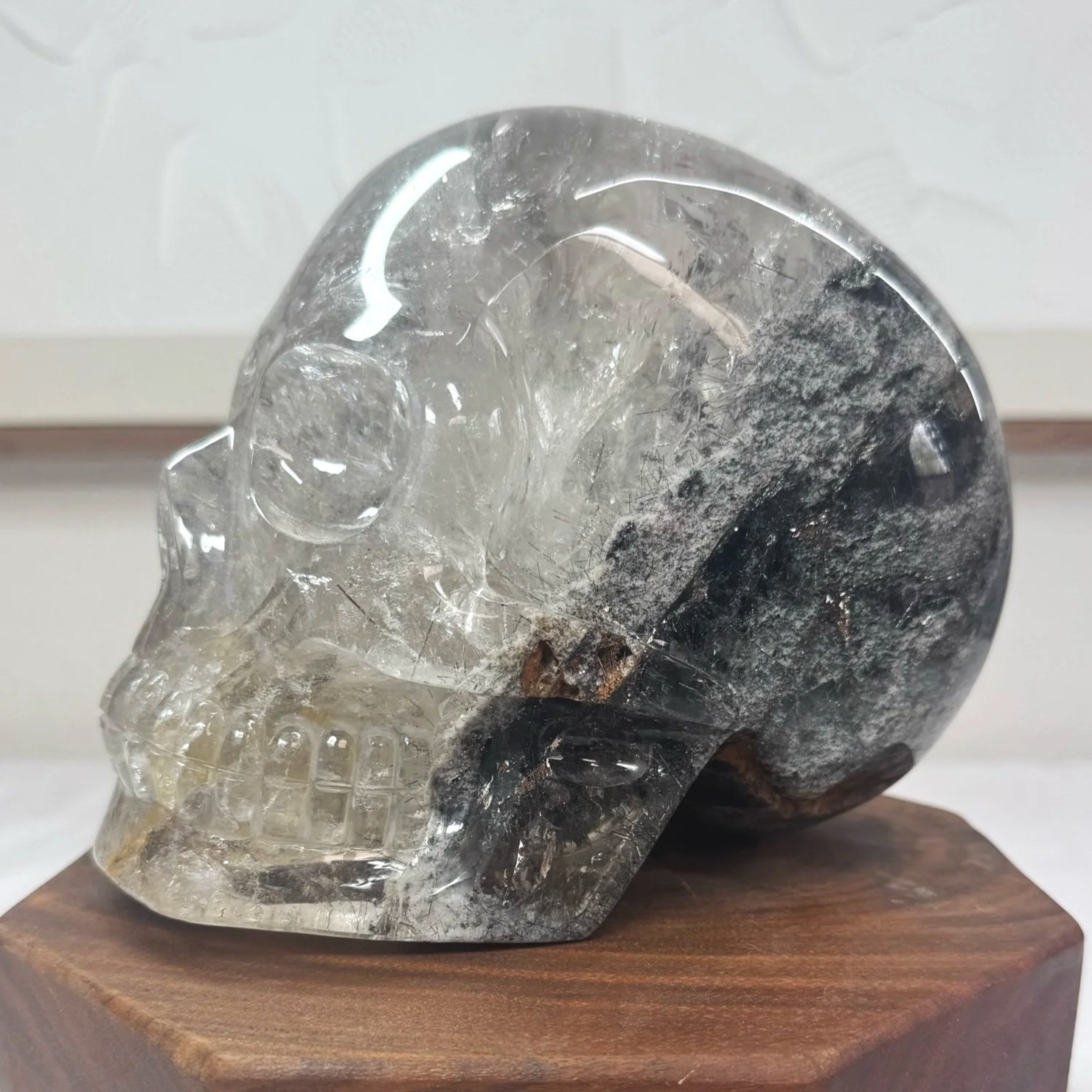 Leandro de Souza Black Tourmaline and Lodolite in Quartz Master Skull