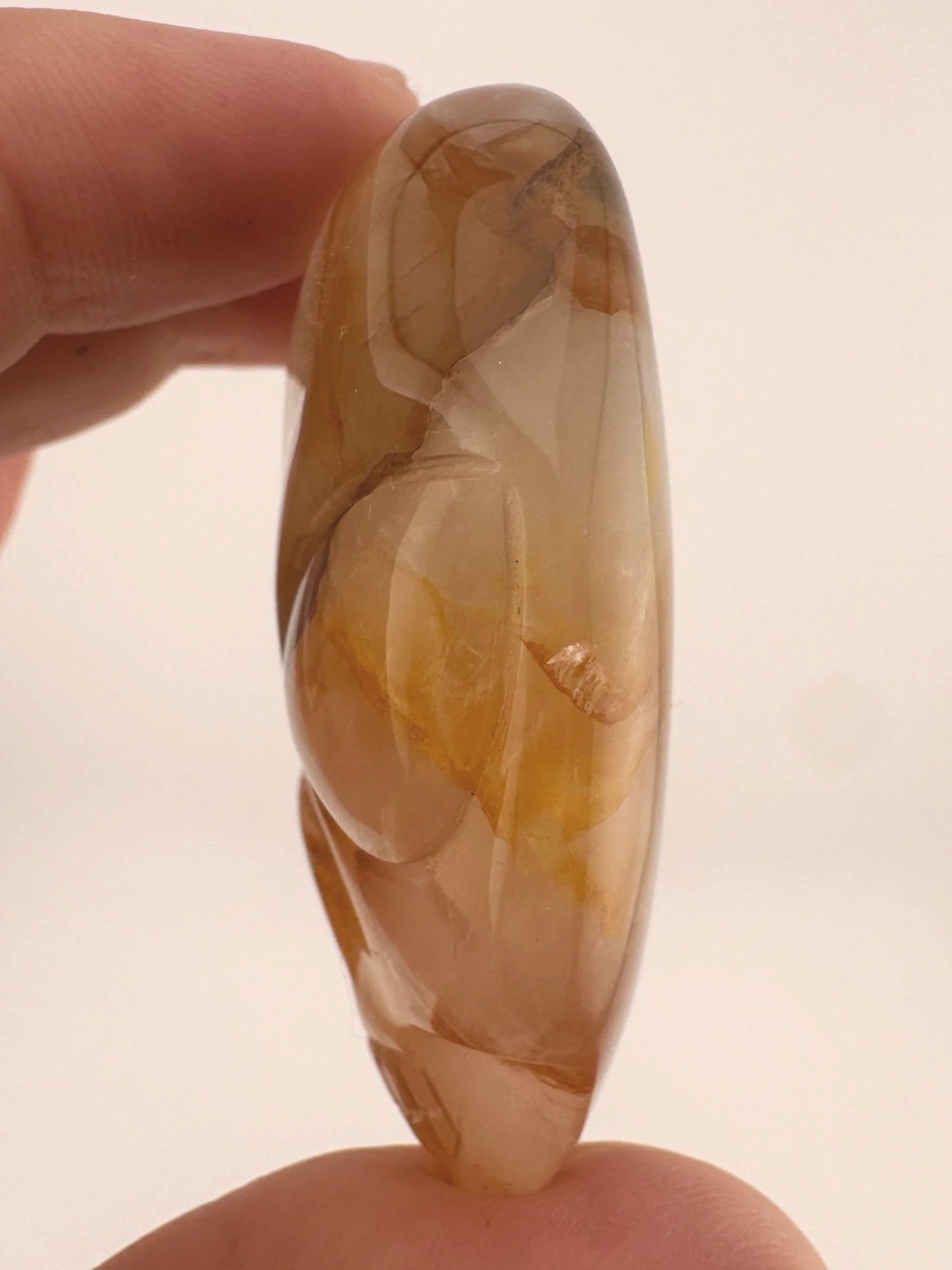 Leandro de Souza Golden Healer Palm Skull