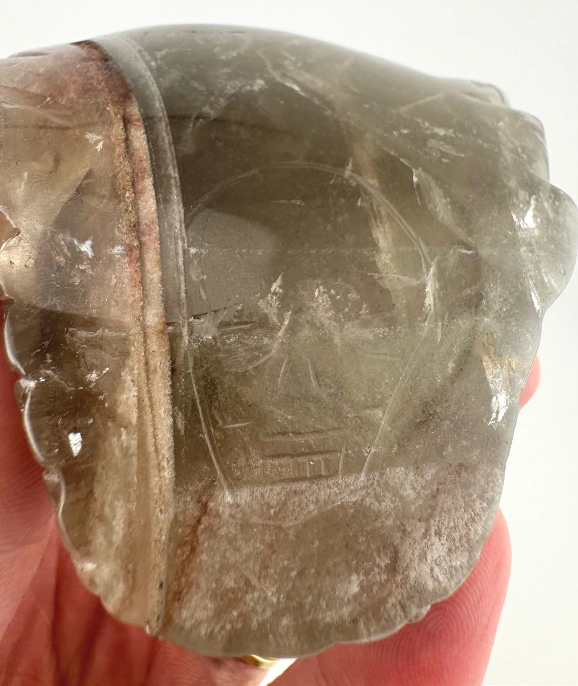 Leandro de Souza Chlorite Phantom Garden Quartz Dragon Skull