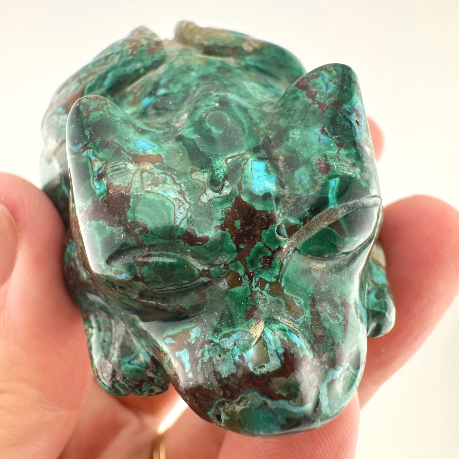 Leandro de Souza Malachite Chrysocolla Dodo Dragon