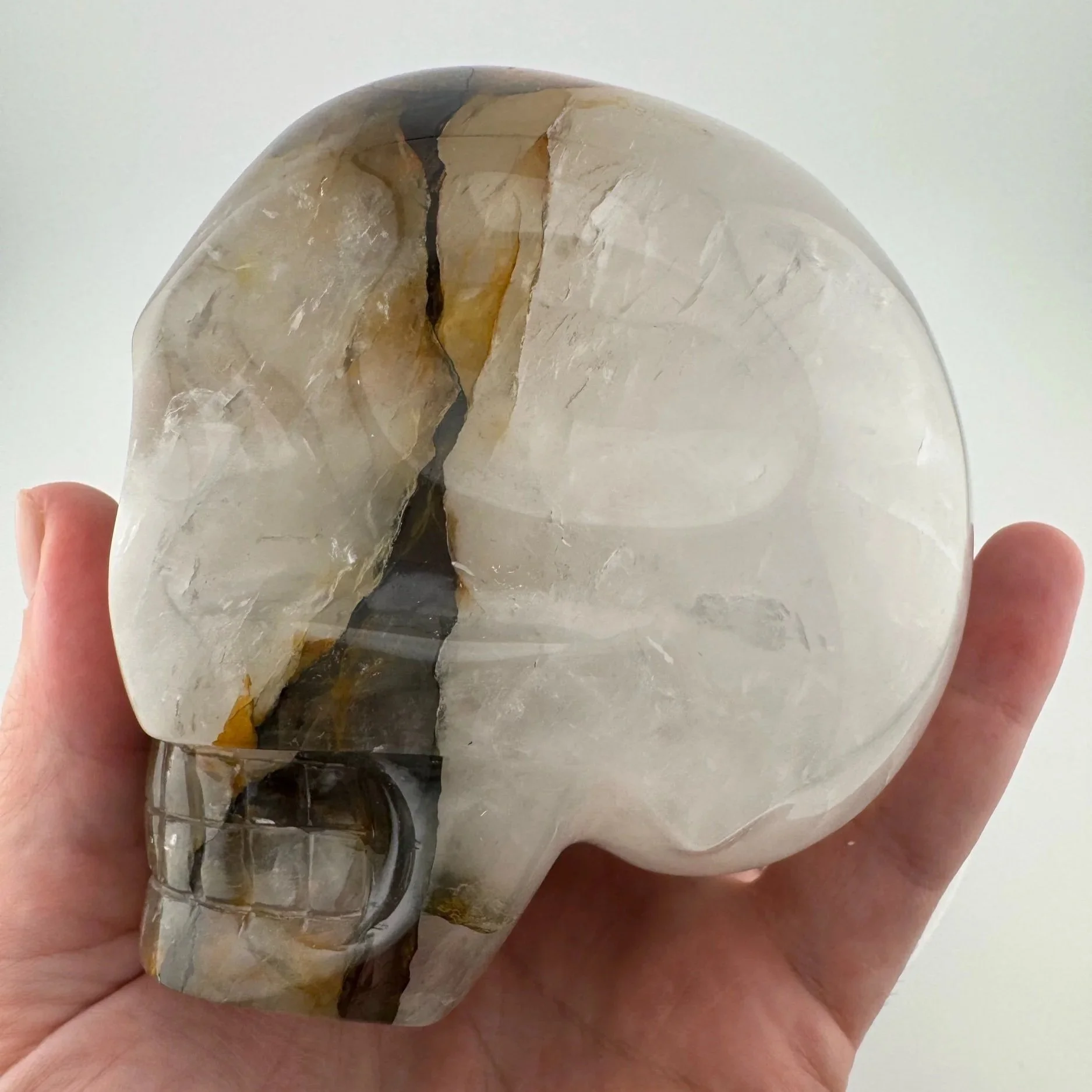 Leandro de Souza Golden Healer Skull