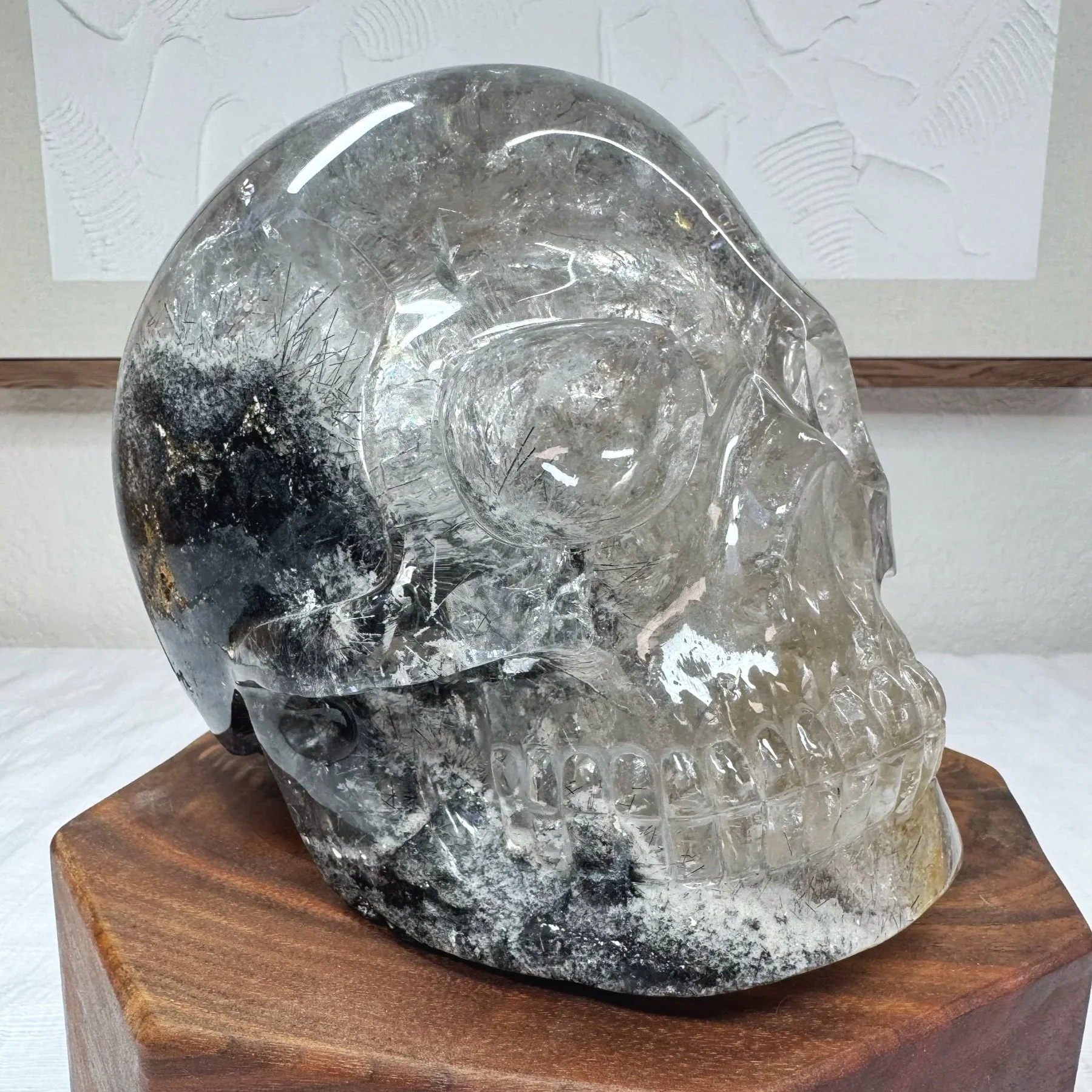 Leandro de Souza Black Tourmaline and Lodolite in Quartz Master Skull