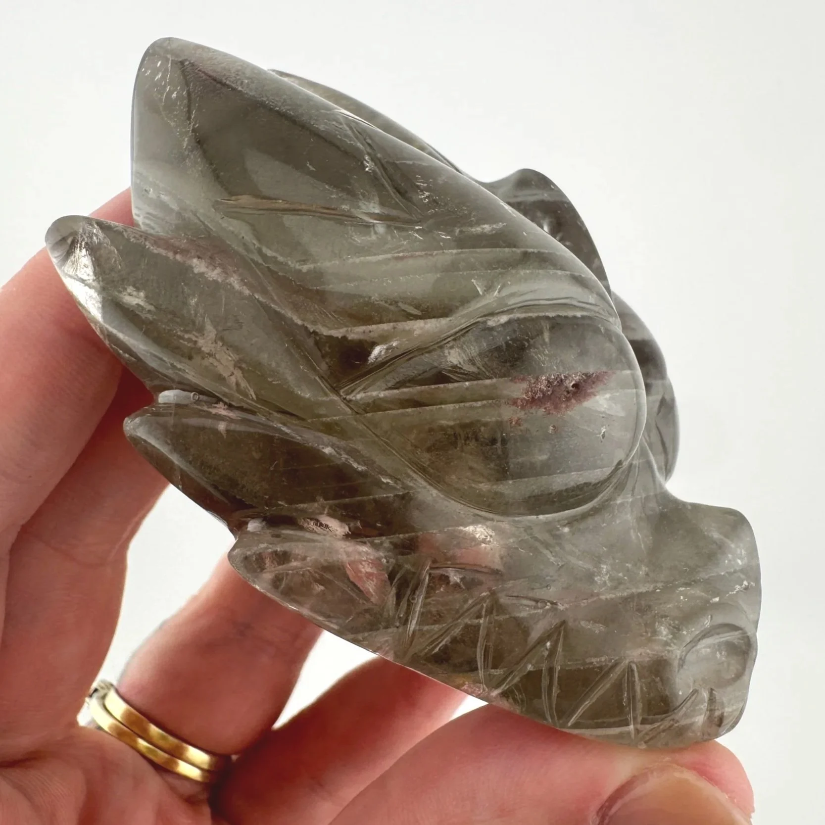 Leandro de Souza Chlorite Phantom Garden Quartz Dragon Skull