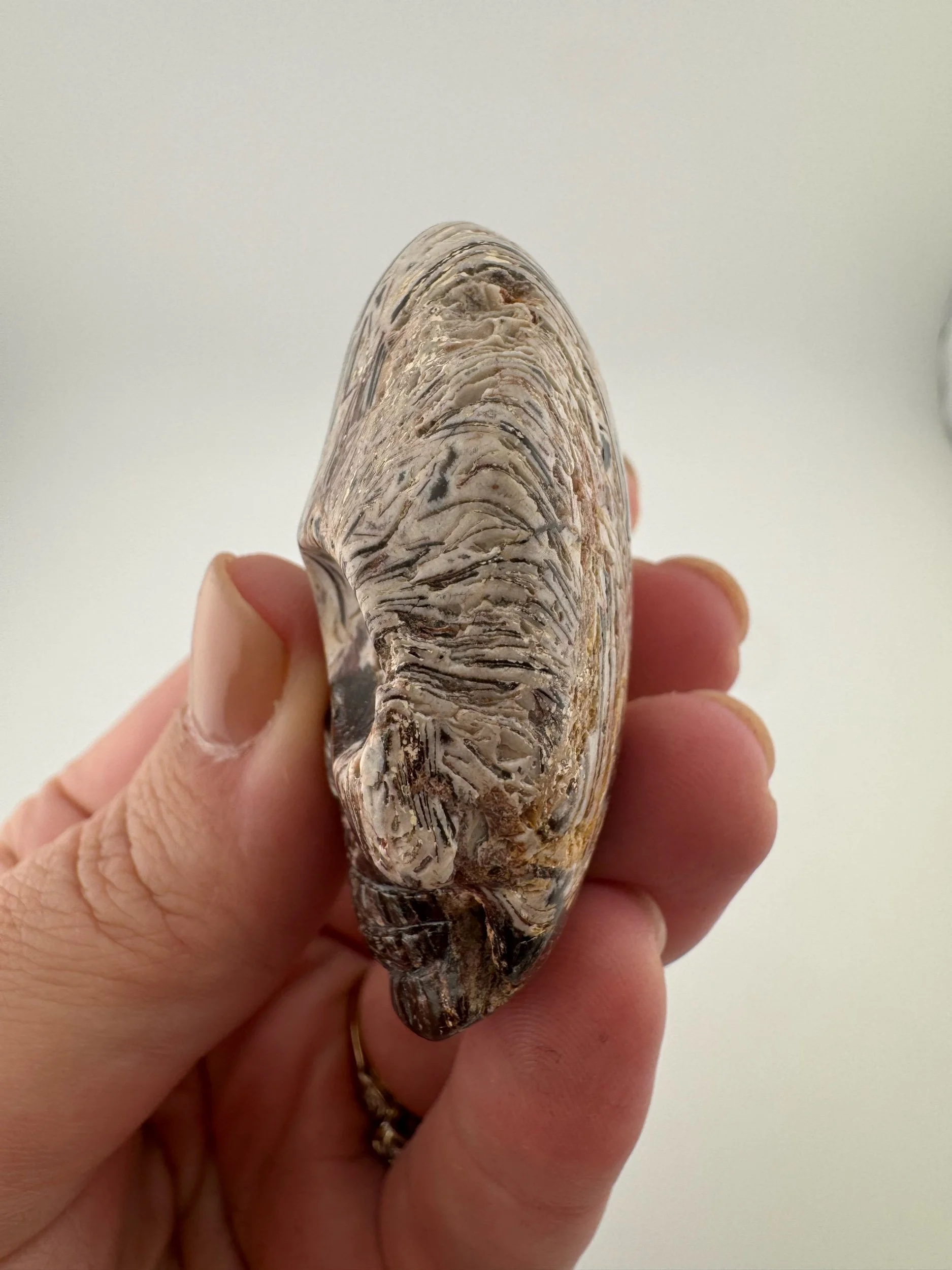 Leandro de Souza Fascia Jasper Magical Child Palm Skull