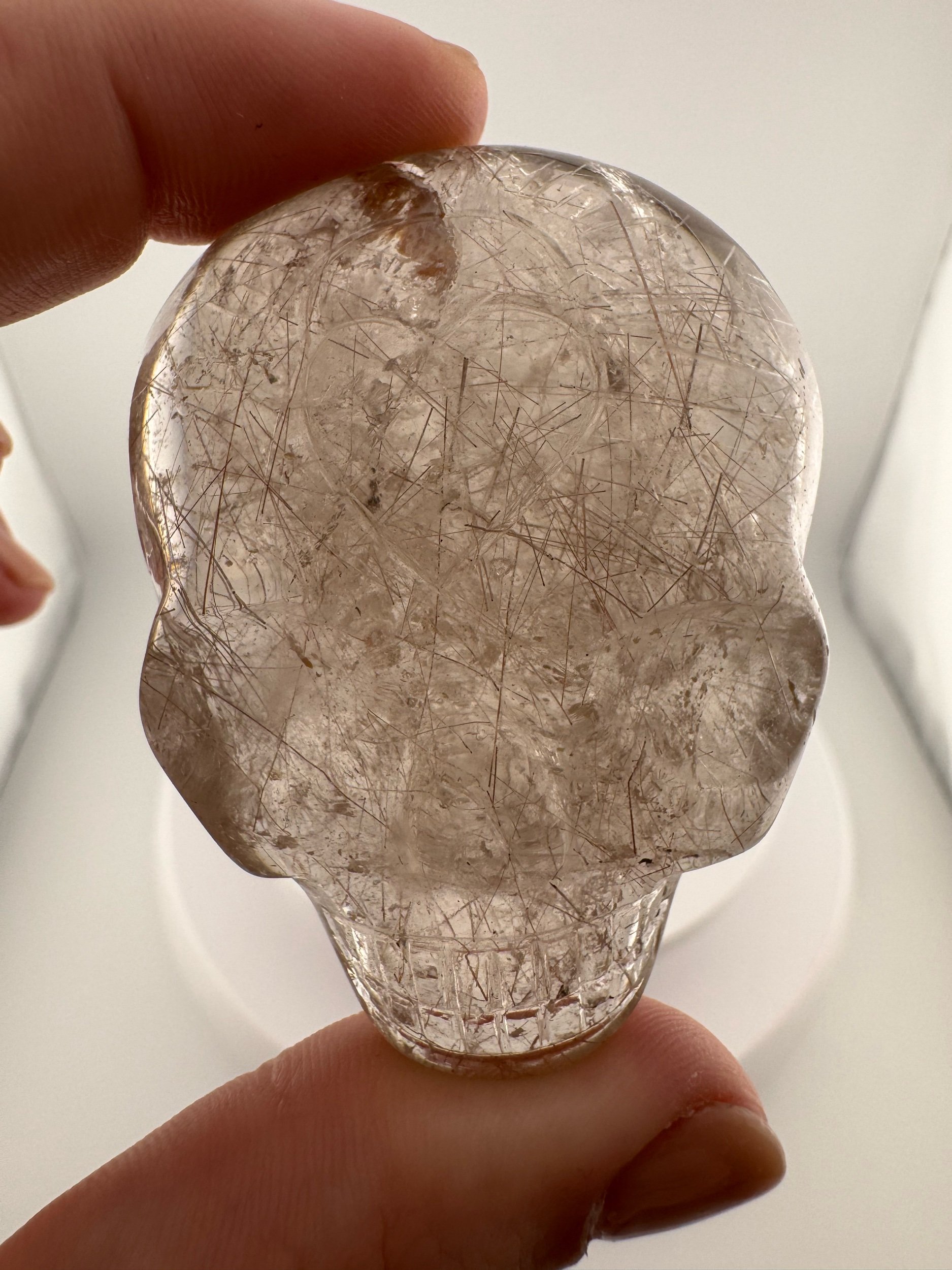 Leandro de Souza Red Rutile Magical Child Palm Skull