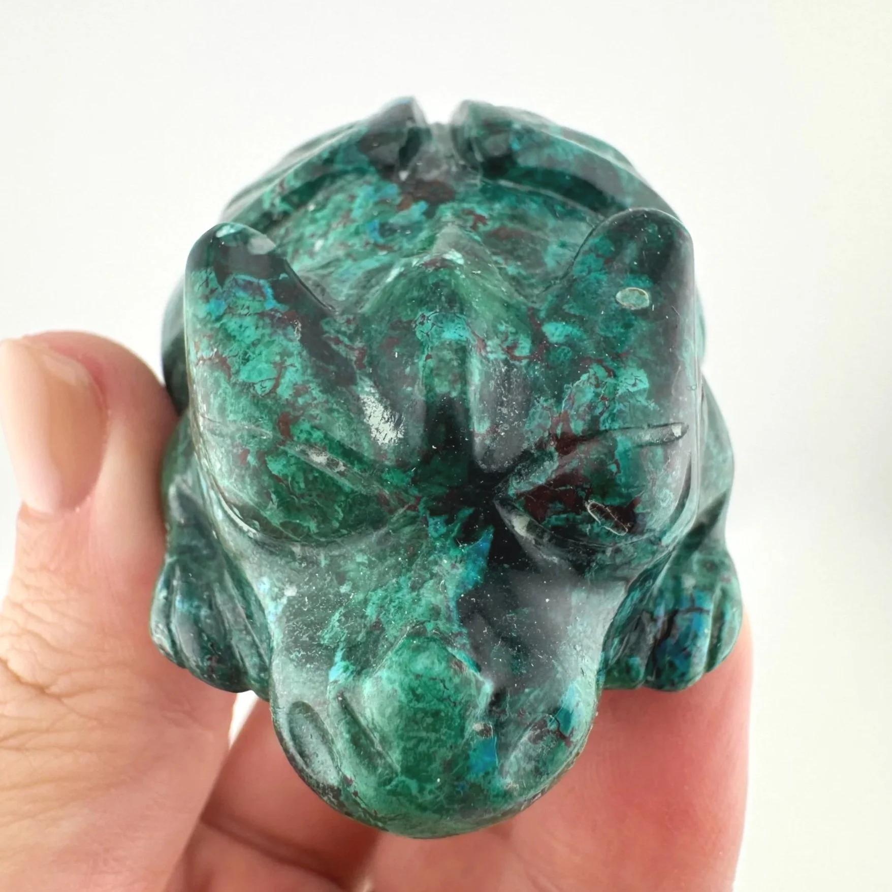 Leandro de Souza Malachite Chrysocolla Dodo Dragon