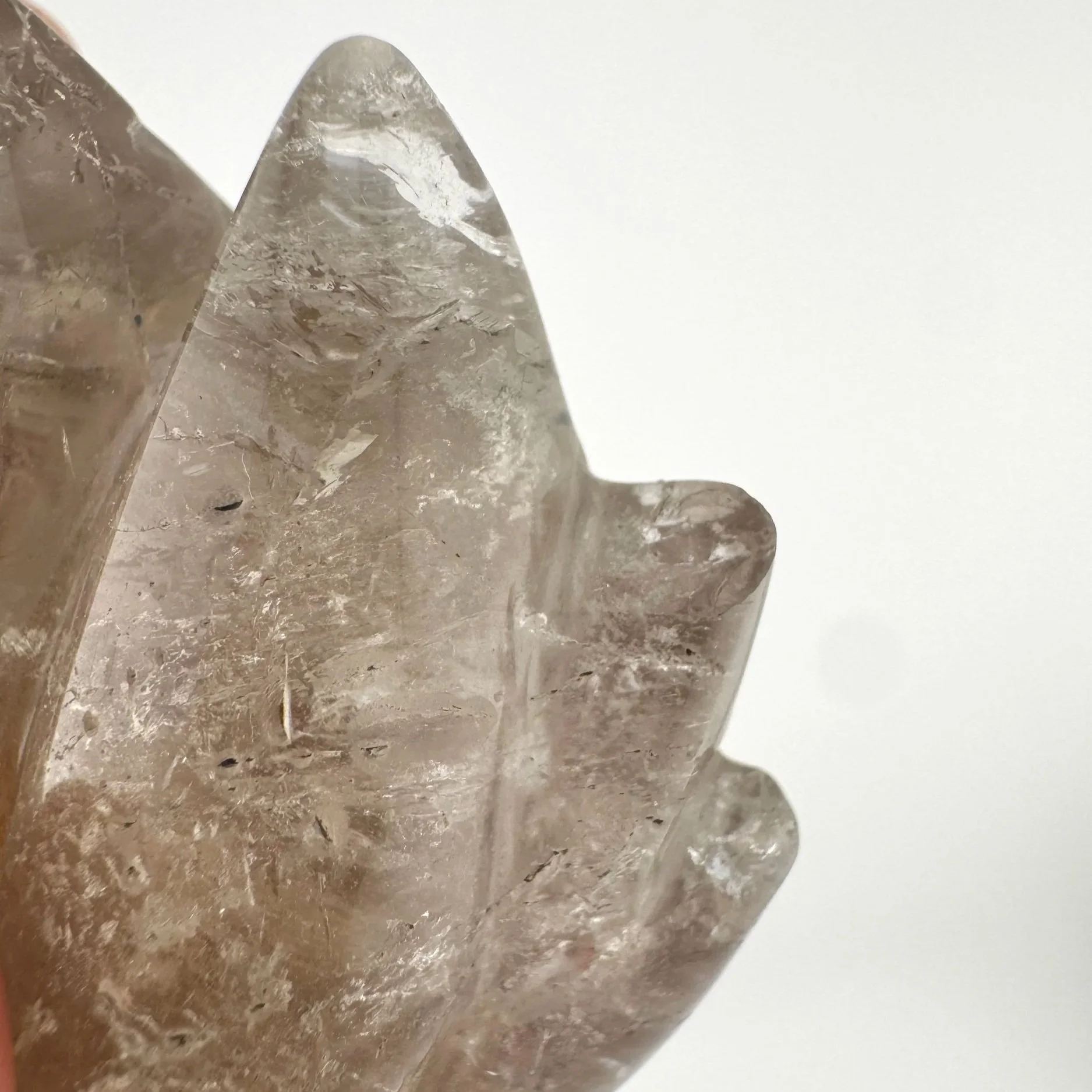 Leandro de Souza Chlorite Phantom Garden Quartz Dragon Skull