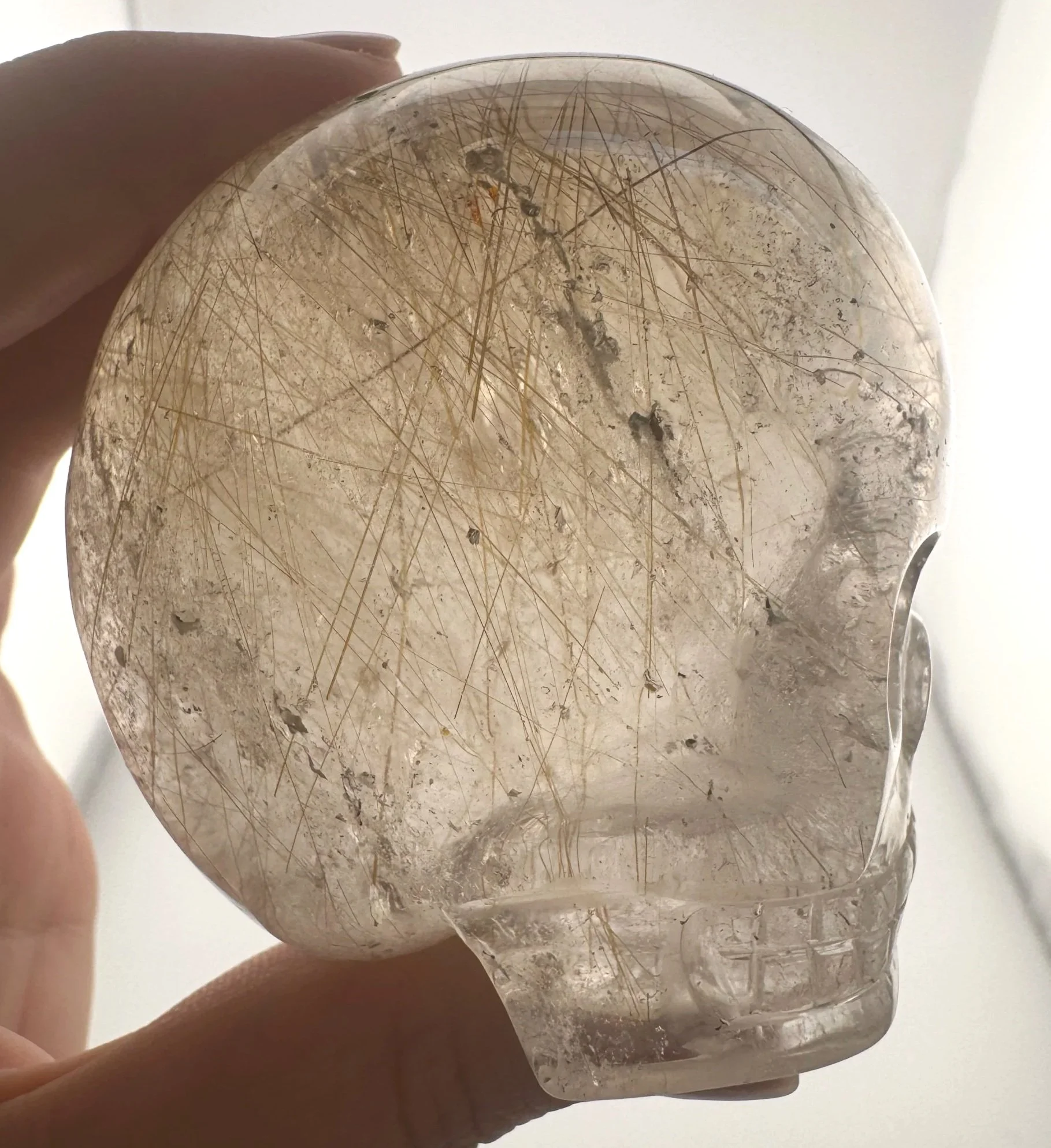 Leandro de Souza Golden Rutile in Smoky Quartz Magical Child Skull
