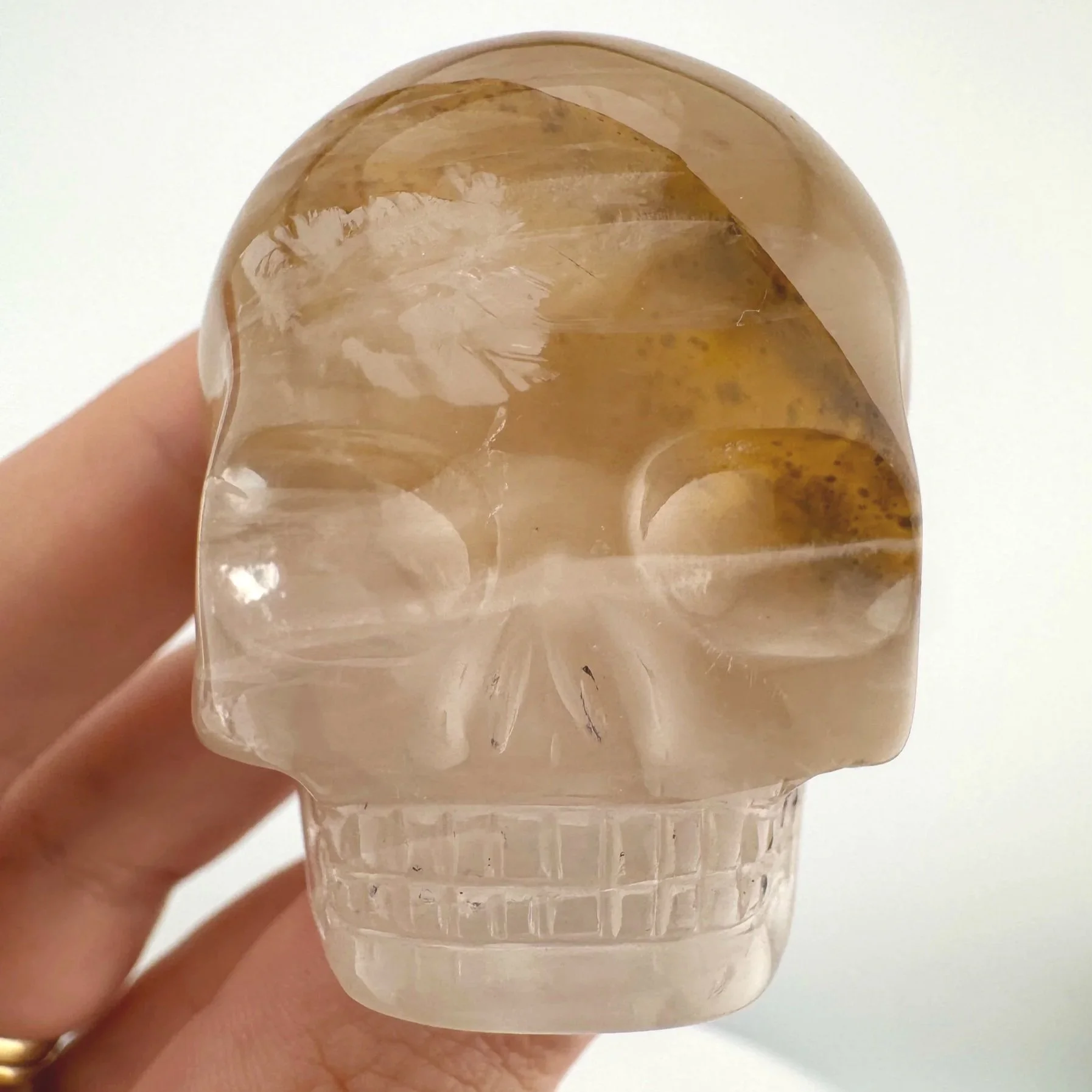 Leandro de Souza Golden Healer Magical Child Skull