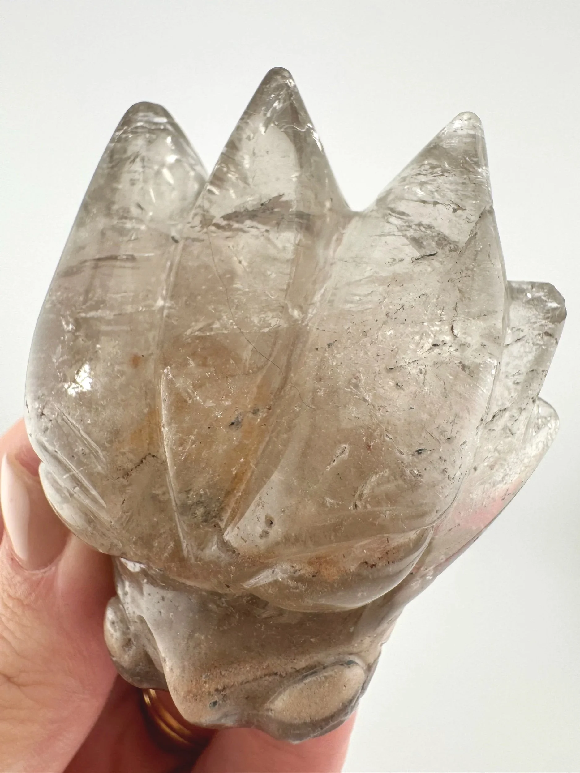 Leandro de Souza Chlorite Phantom Garden Quartz Dragon Skull
