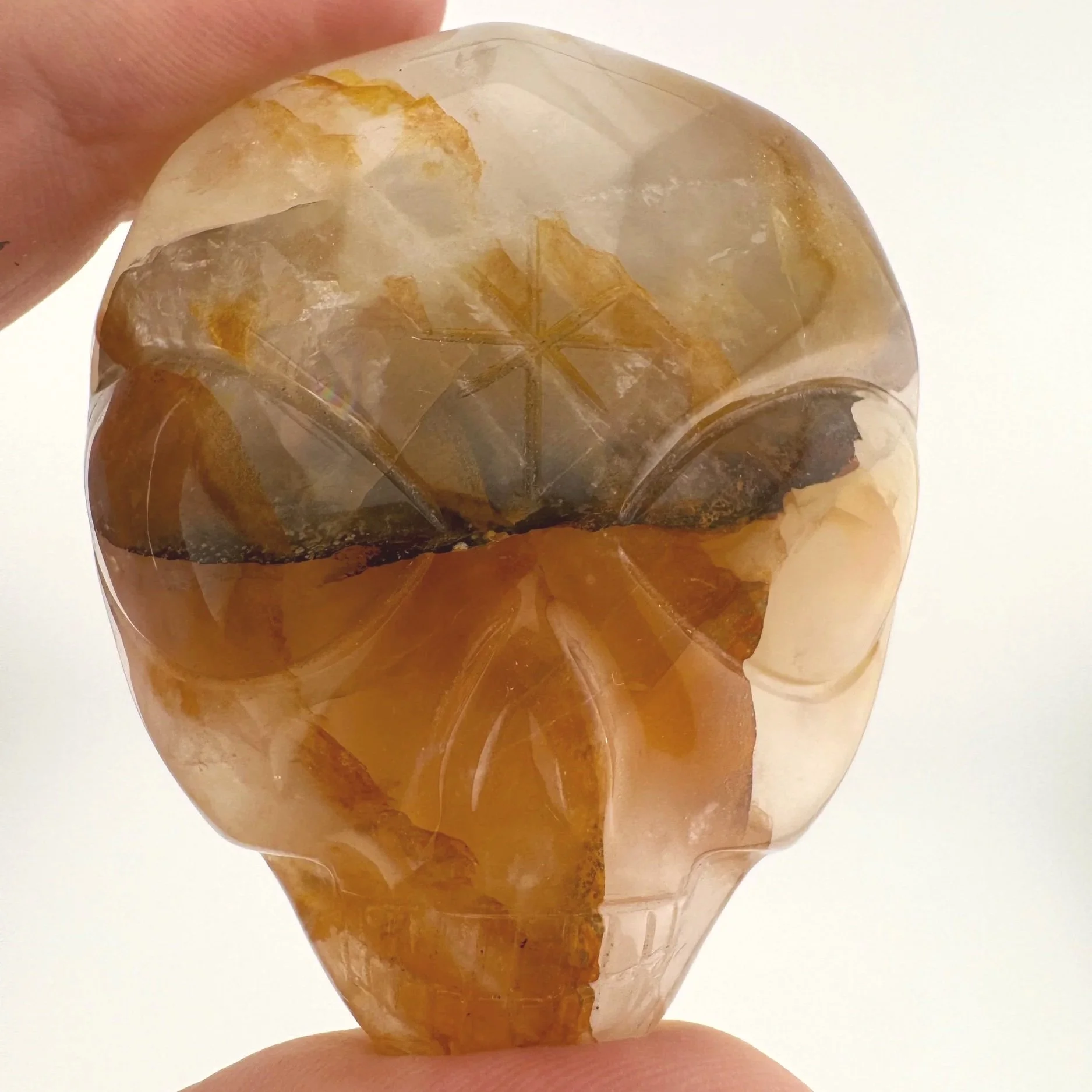 Leandro de Souza Golden Healer Palm Skull