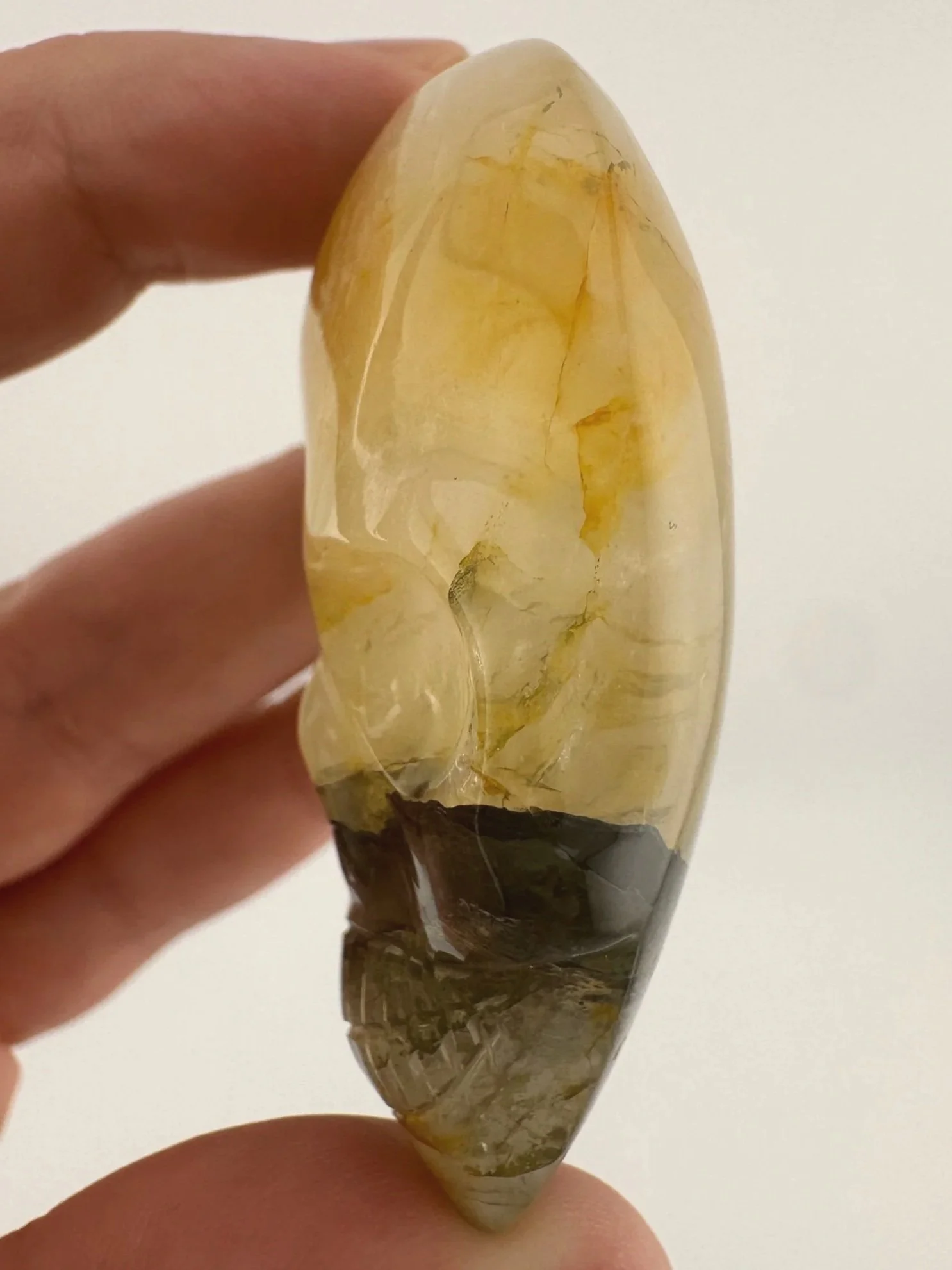 Leandro de Souza Golden Healer Palm Skull