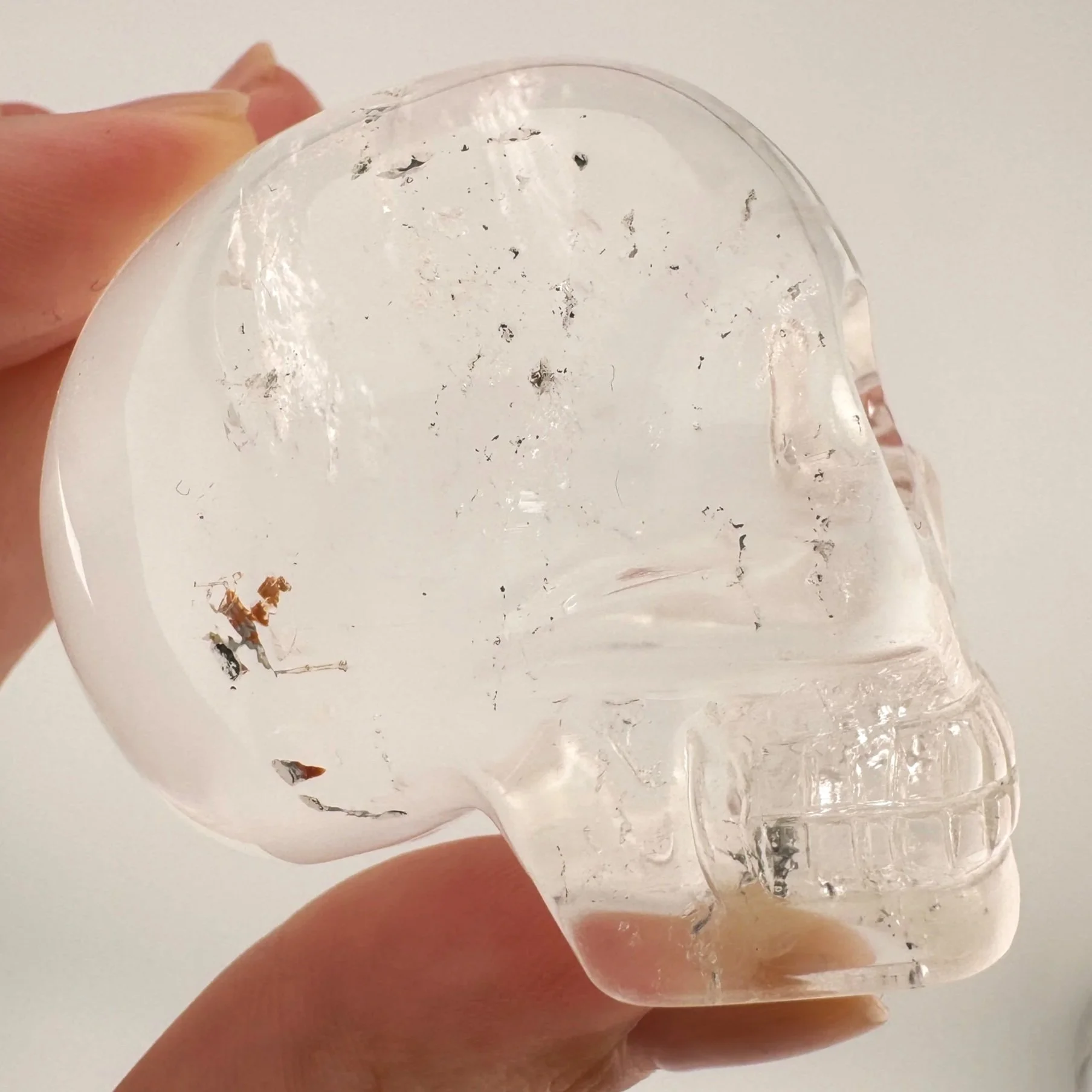 Leandro de Souza Gem Sirius Quartz Bizoin Skull