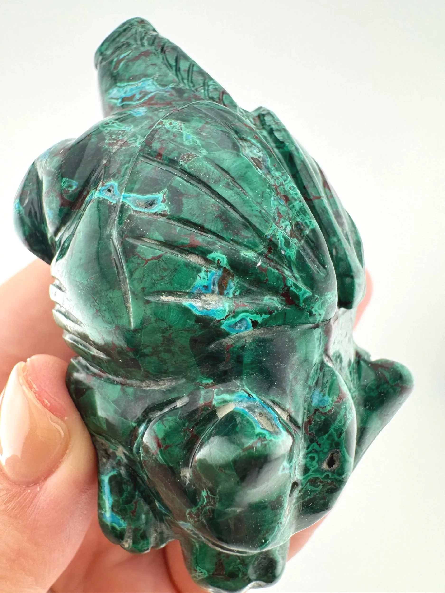Leandro de Souza Malachite Chrysocolla Dodo Dragon