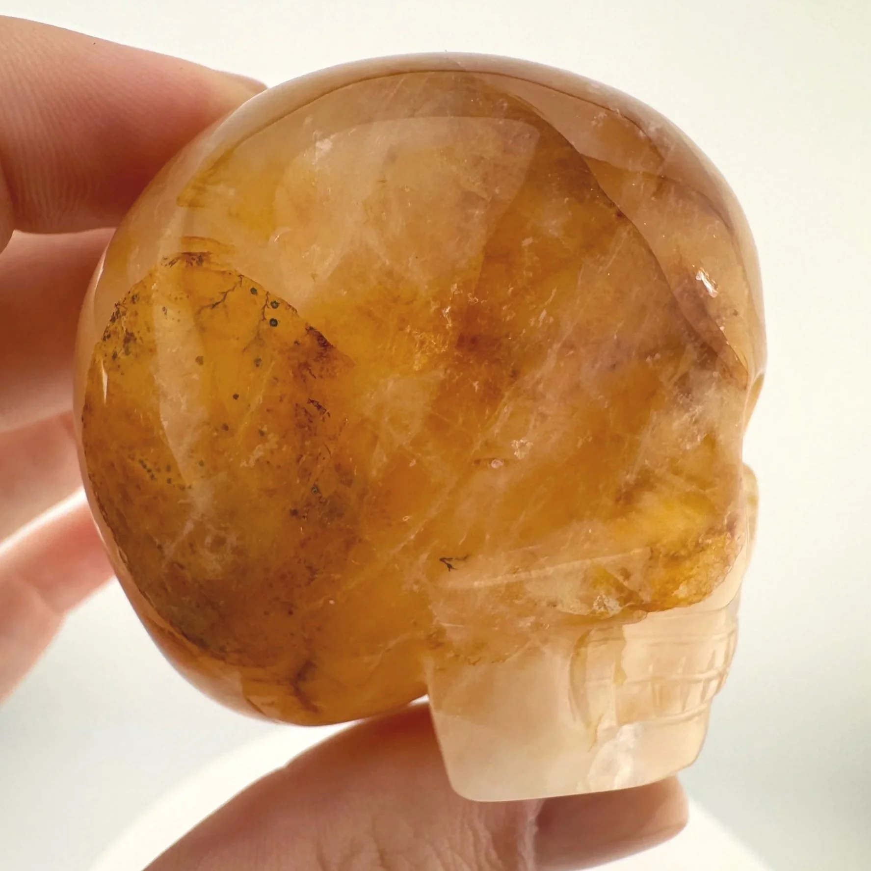 Leandro de Souza Golden Healer Magical Child Skull