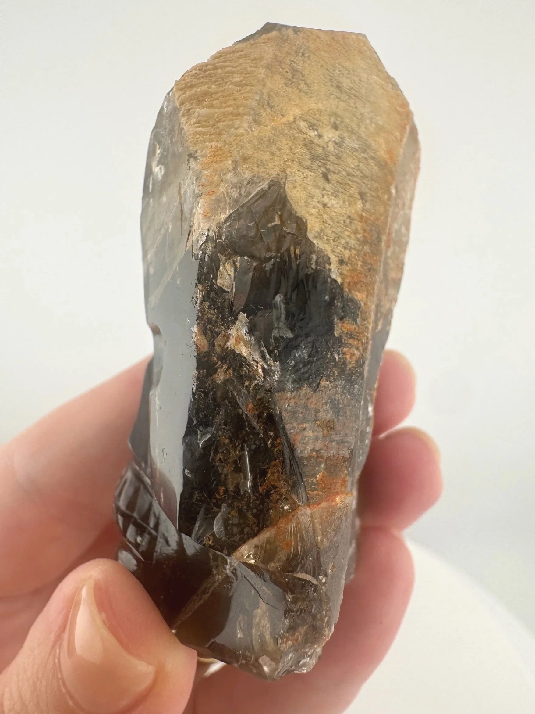 Igor de Souza Morion Tangerine Quartz Shaman Skull