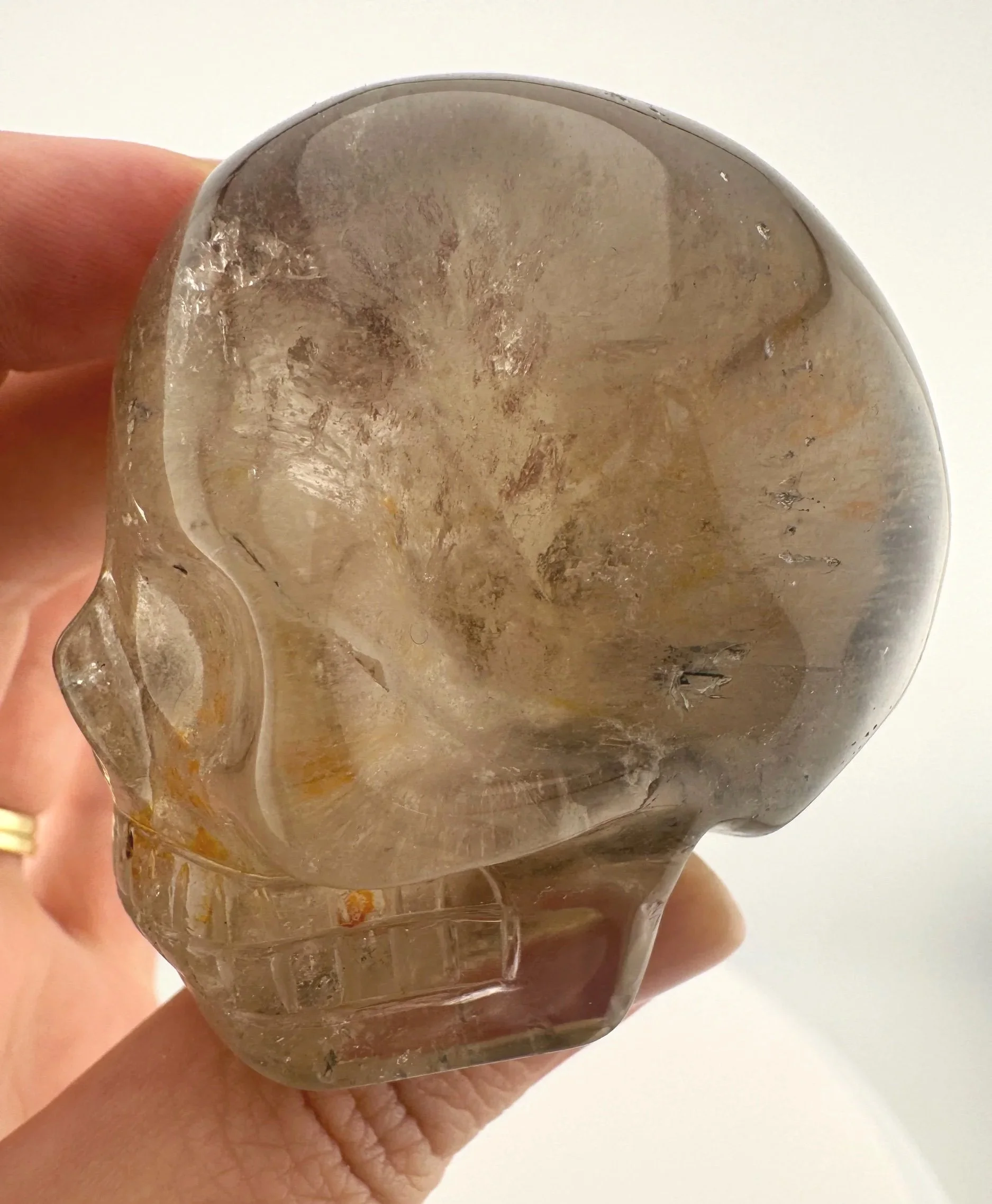 Leandro de Souza Marygold Rutile Skull