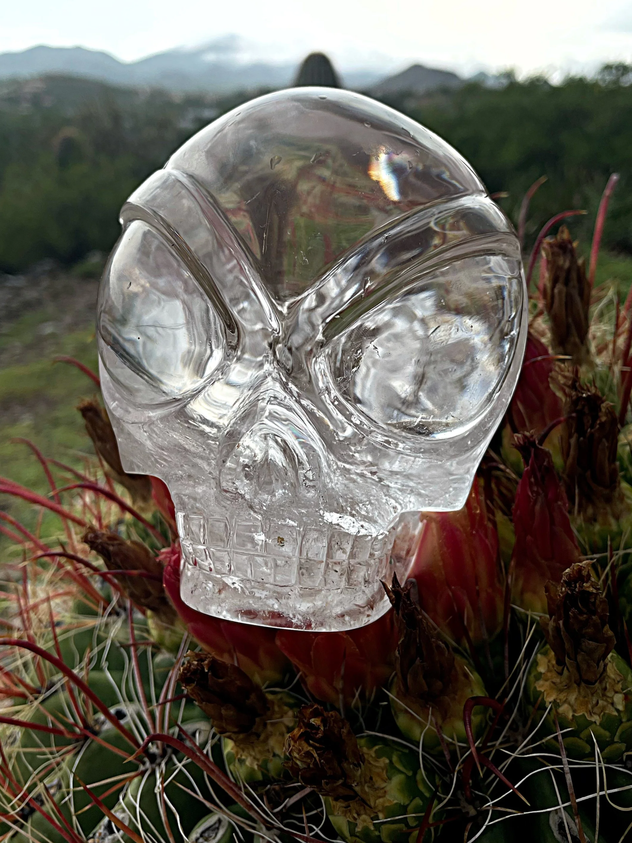 Lemurian Quartz Star Being Skull carved by Leandro de Souza in 2021.