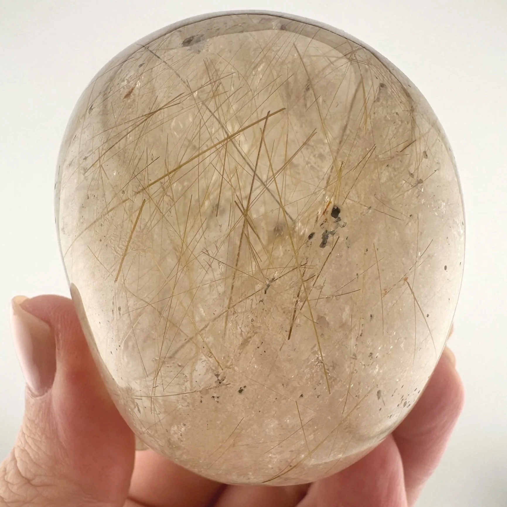 Leandro de Souza Golden Rutile in Smoky Quartz Magical Child Skull