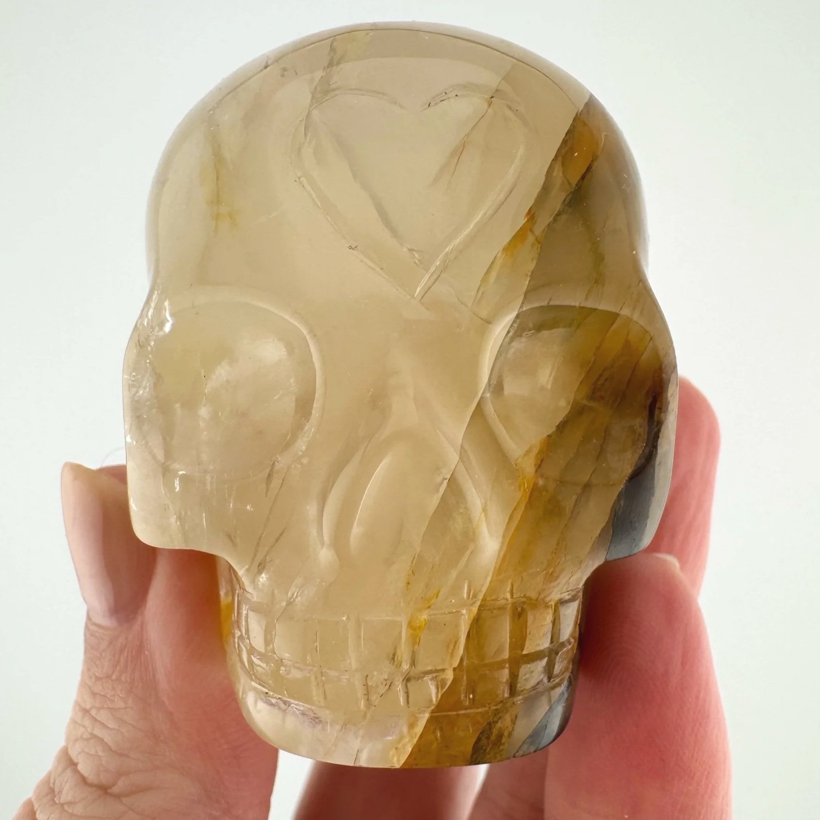 Leandro de Souza Golden Healer Skull