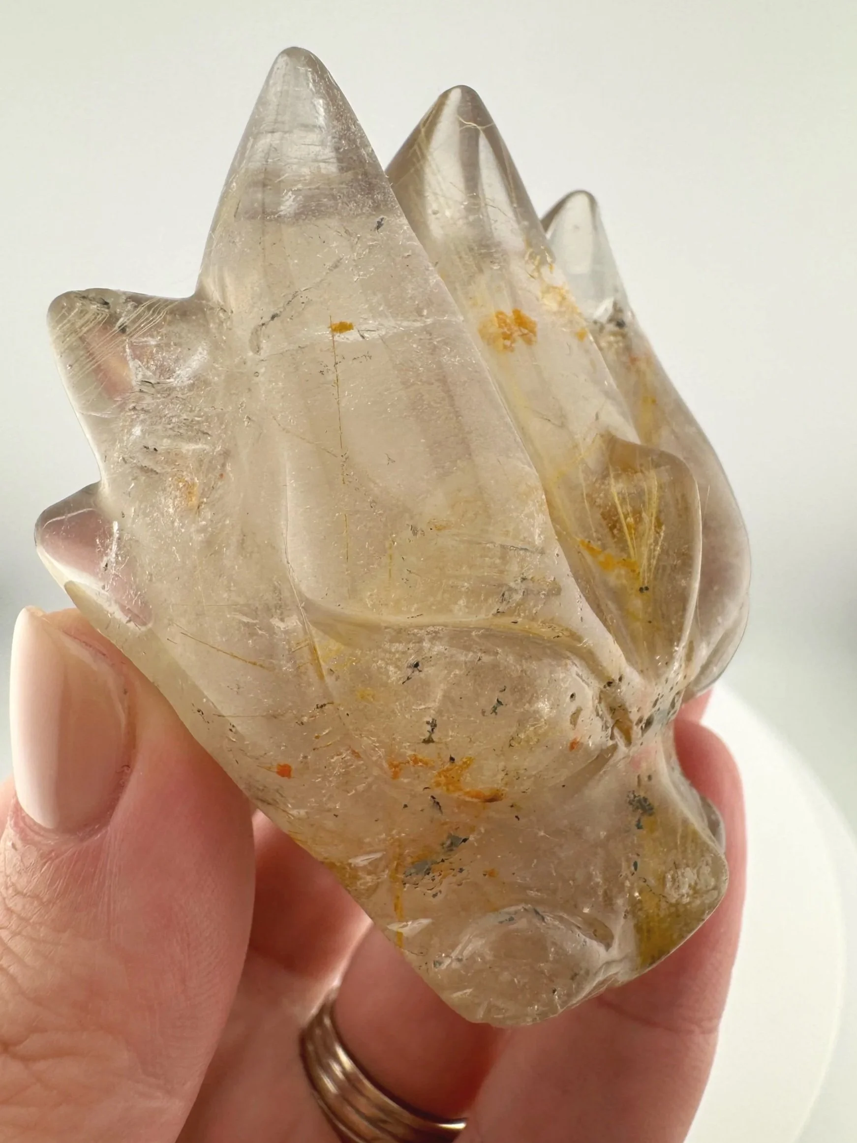 Leandro de Souza Marygold Rutile Dragon Skull