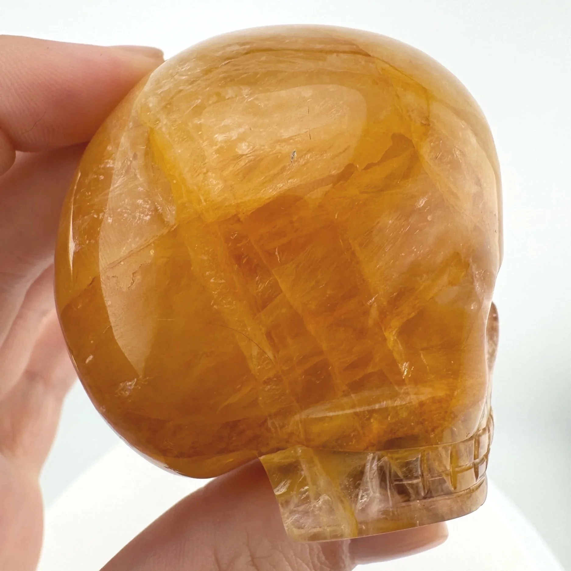 Leandro de Souza Golden Healer Magical Child Skull