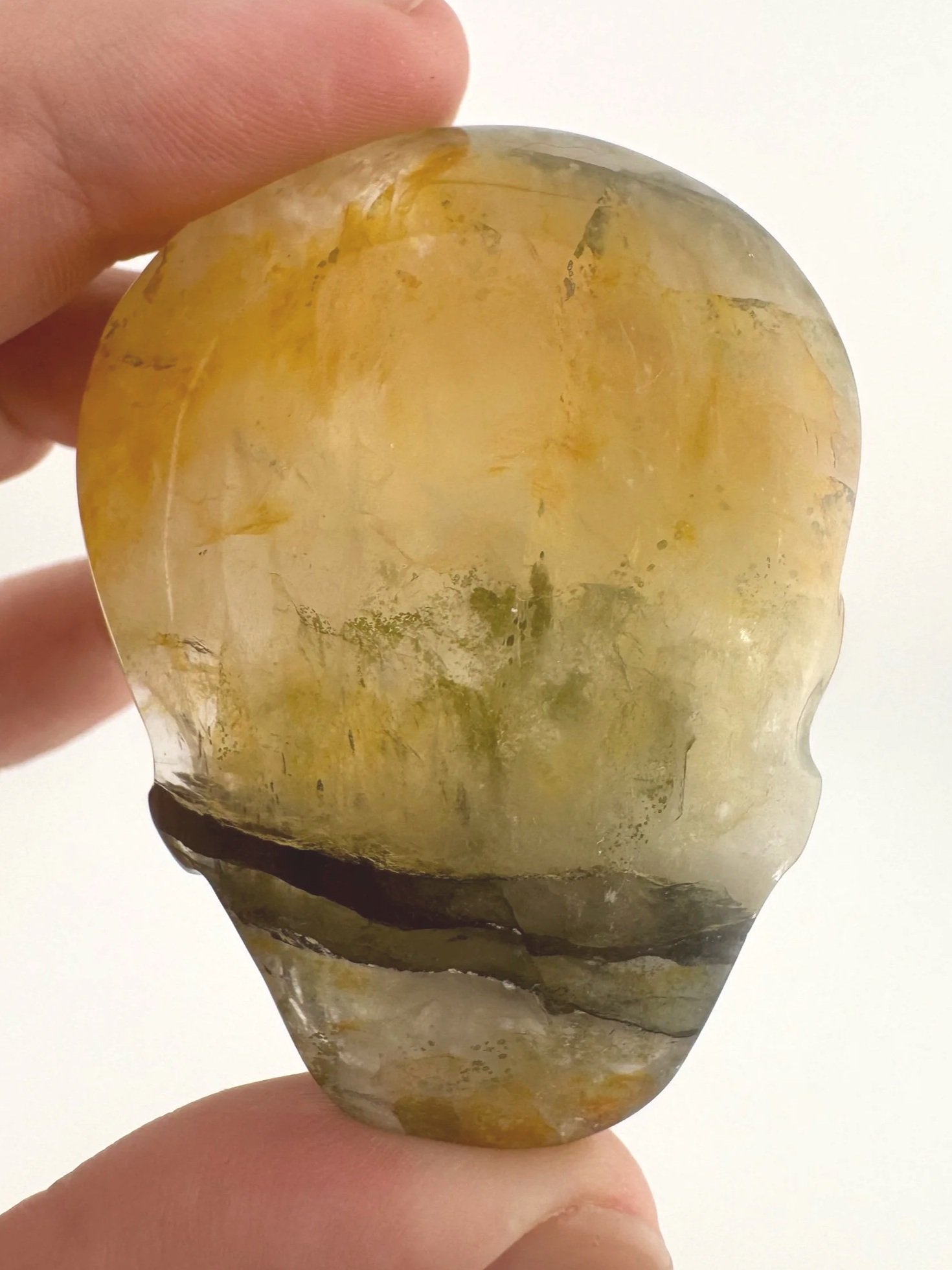 Leandro de Souza Golden Healer Palm Skull
