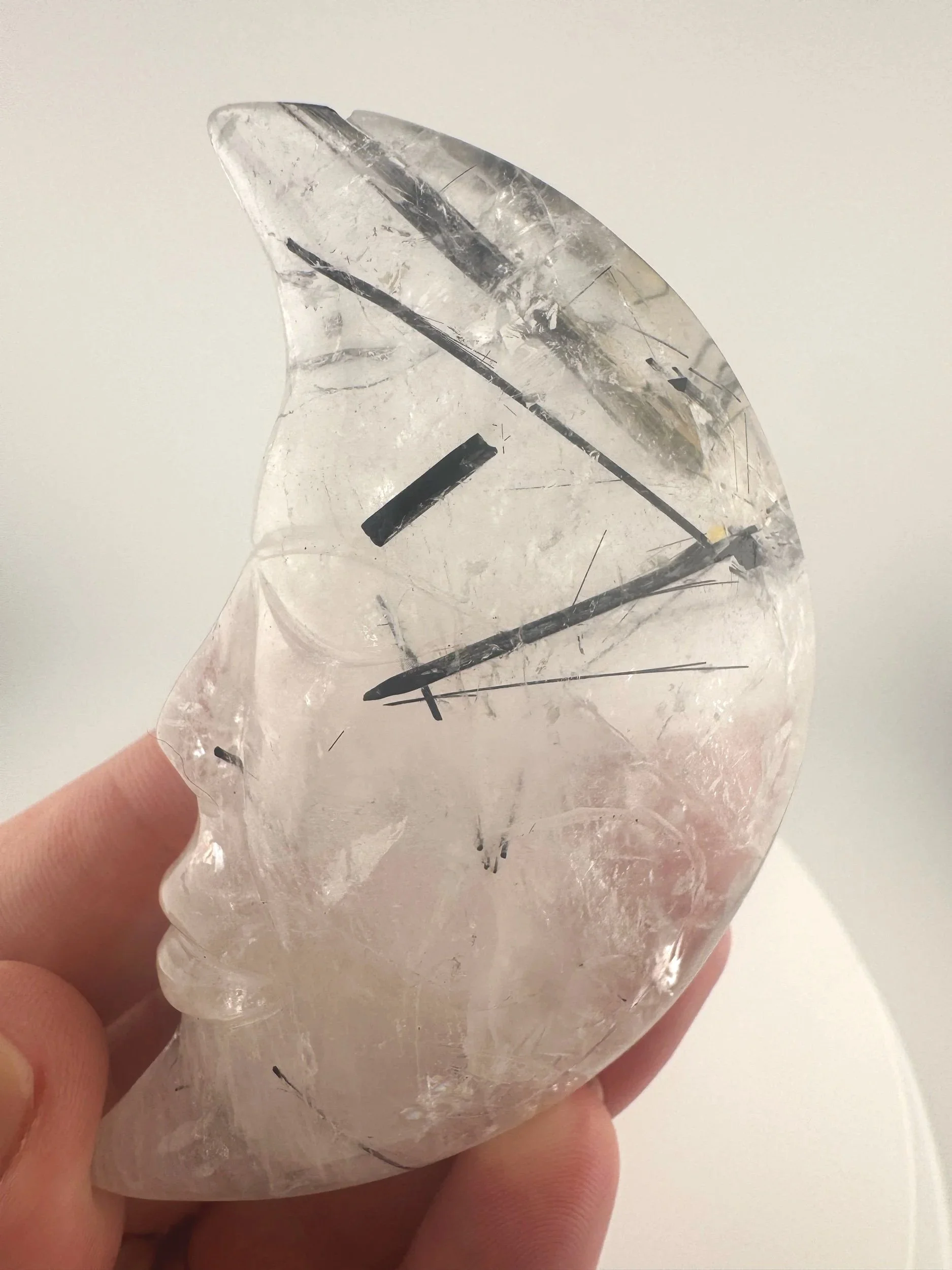 Leandro de Souza Black Tourmaline in Quartz Moon