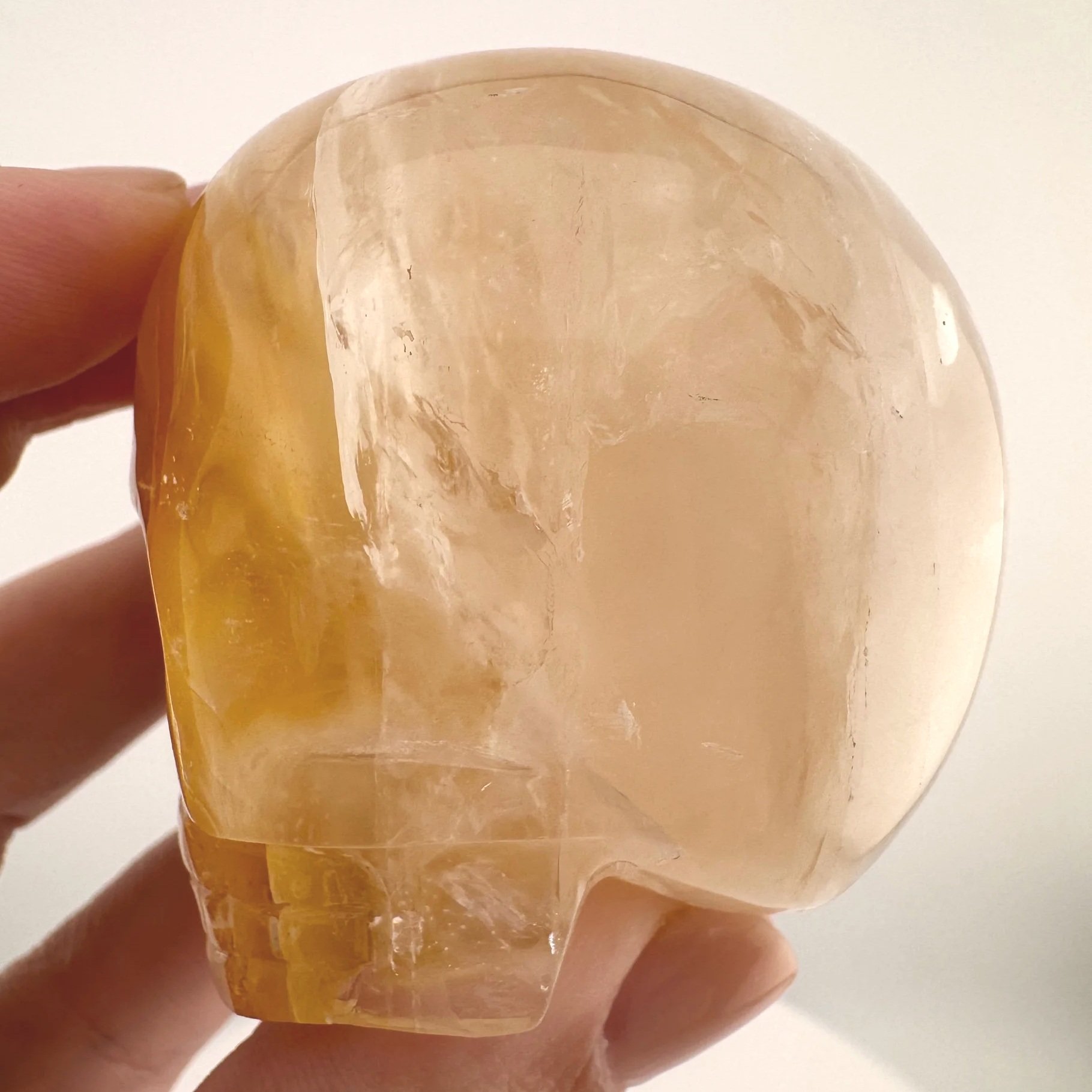 Leandro de Souza Golden Healer Magical Child Skull