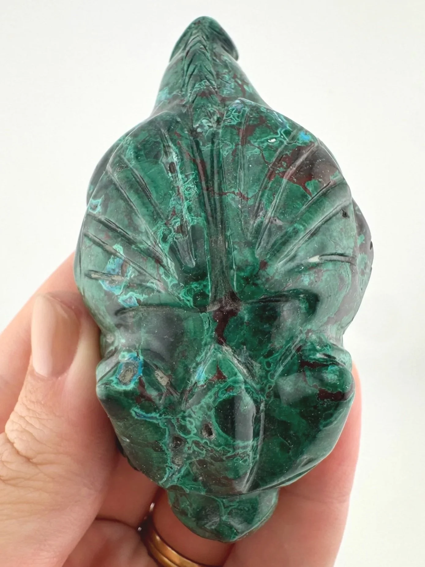 Leandro de Souza Malachite Chrysocolla Dodo Dragon
