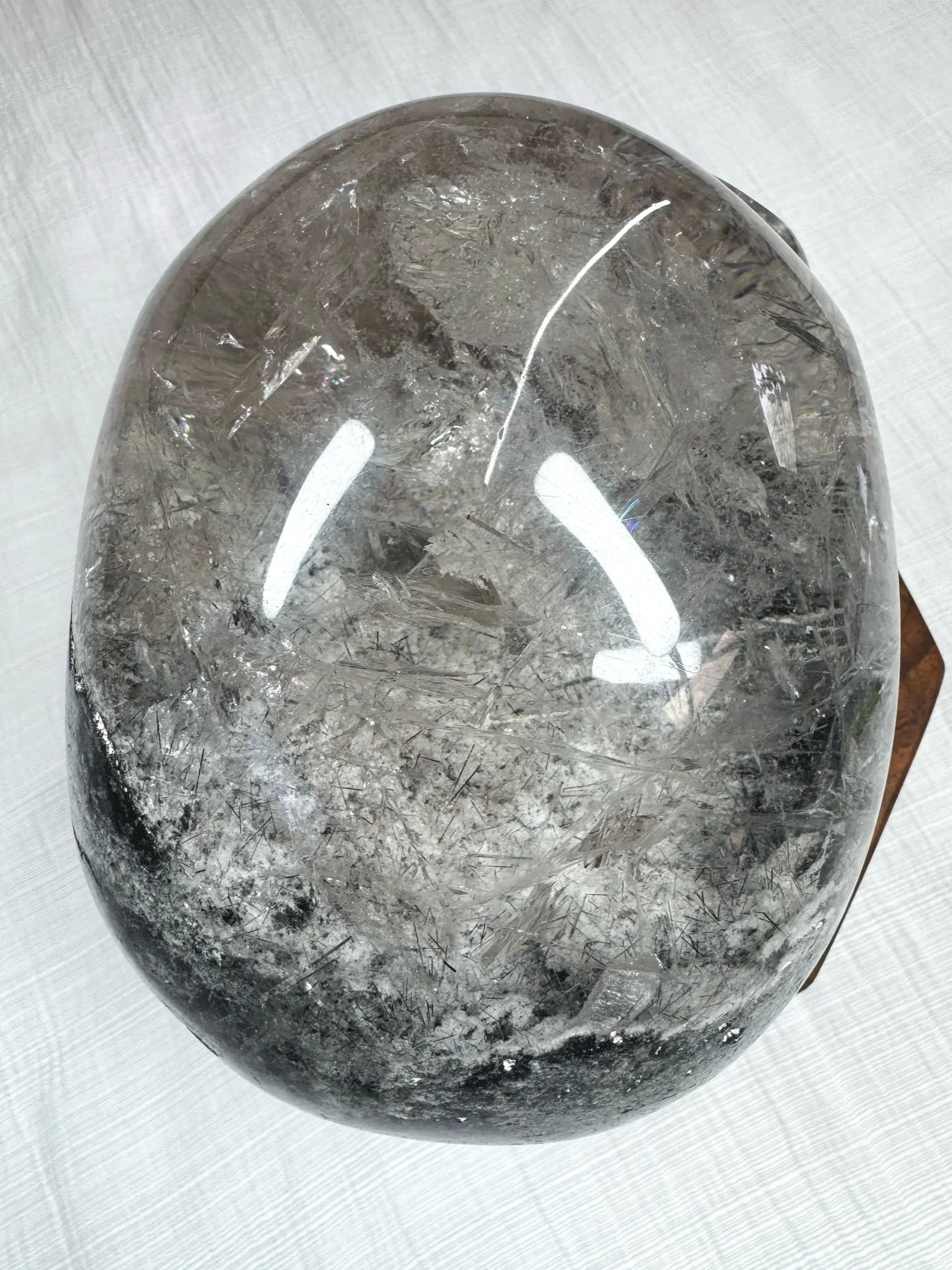 Leandro de Souza Black Tourmaline and Lodolite in Quartz Master Skull