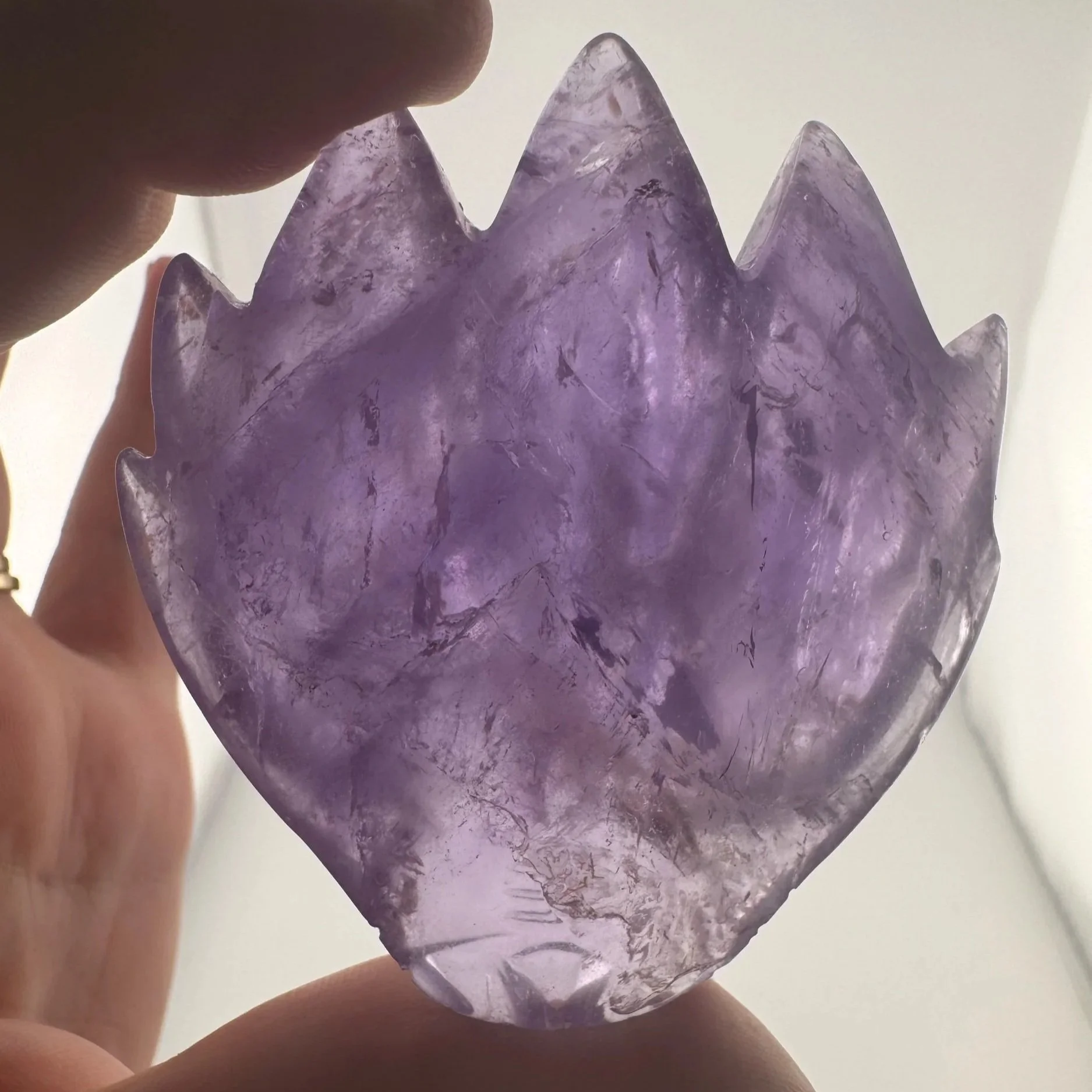 Leandro de Souza Amethyst Dragon Skull