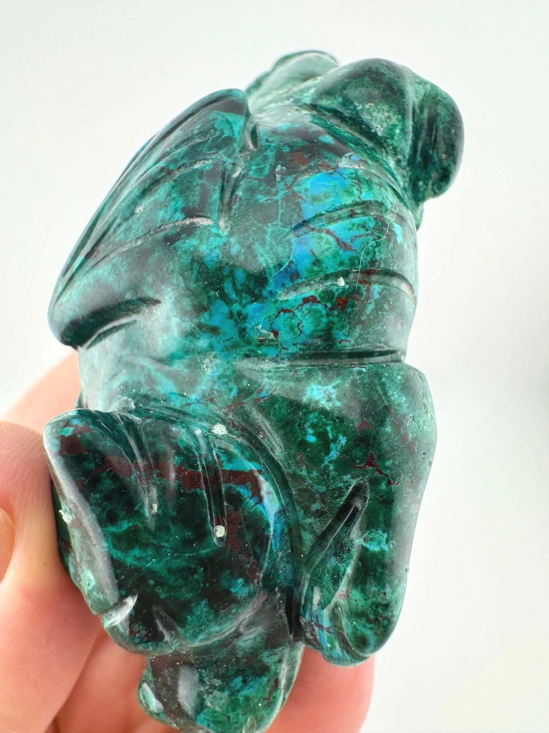 Leandro de Souza Malachite Chrysocolla Dodo Dragon