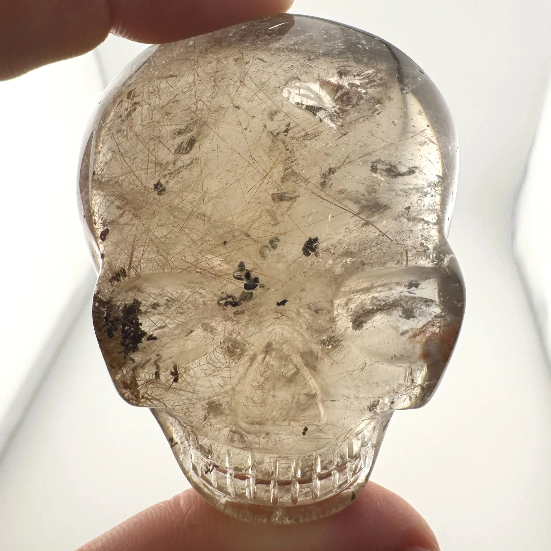 Leandro de Souza Smoky Garden Rutile Magical Child Palm Skull